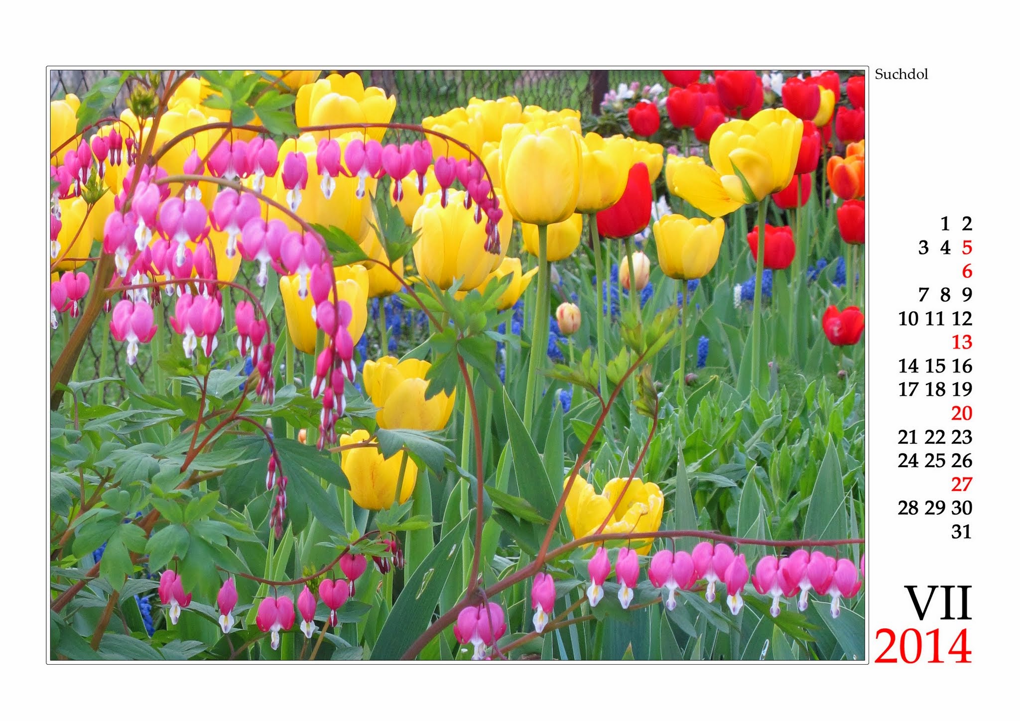 Album image copied from https://lh4.googleusercontent.com/-q-kqfSQt4Dg/UrVhRdJ9ZvI/AAAAAAAAPEY/pOCqME_hITk/w2048-h1448/2014_07.jpg