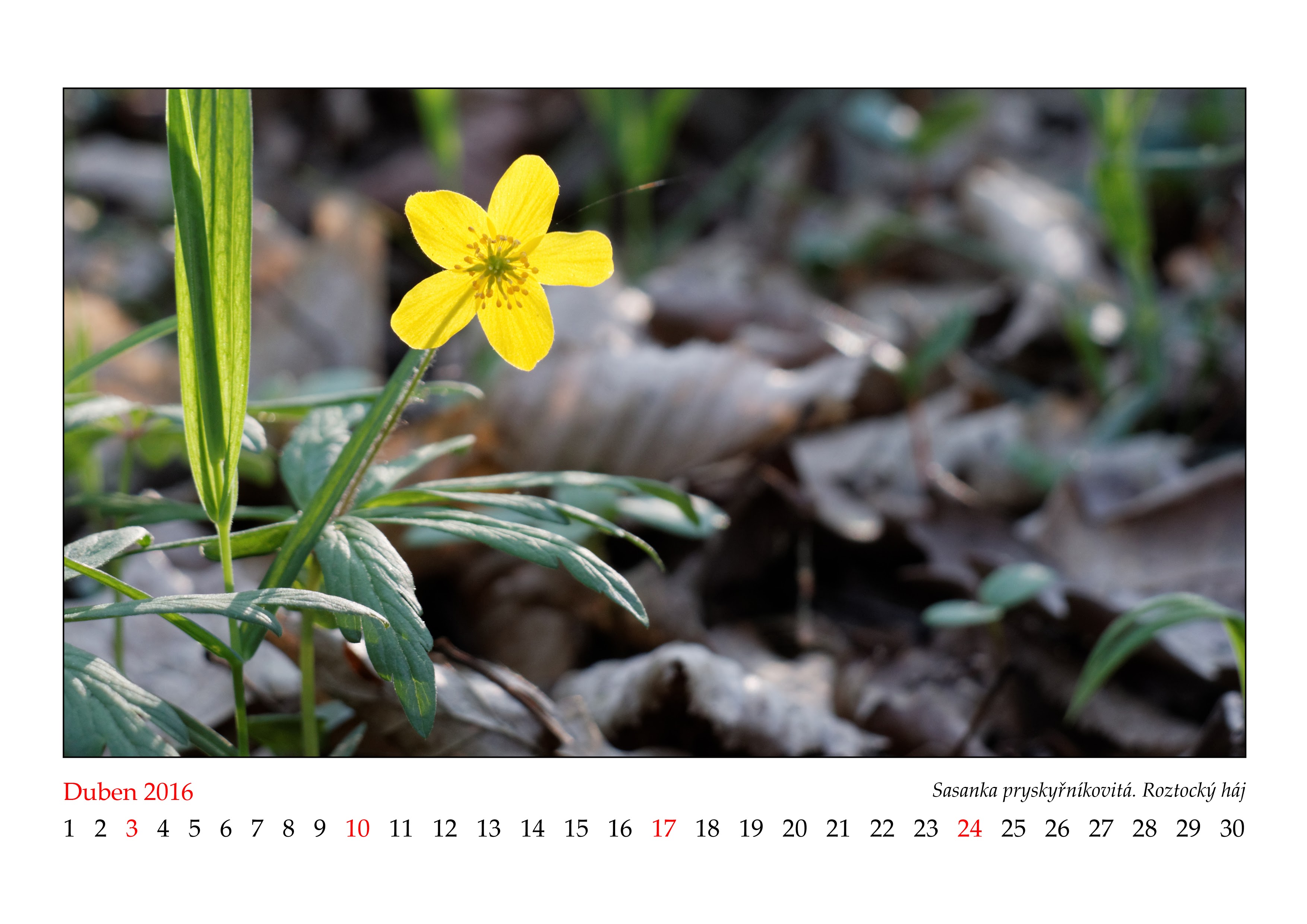 Album image copied from https://lh3.googleusercontent.com/-uEs9grC2YYA/VnXKgrI_KUI/AAAAAAAB_0o/s08sw_pFkTANZvy1pHsJ5NPOEUcpmvCkwCJoC/w3508-h2480/2016_04.JPG