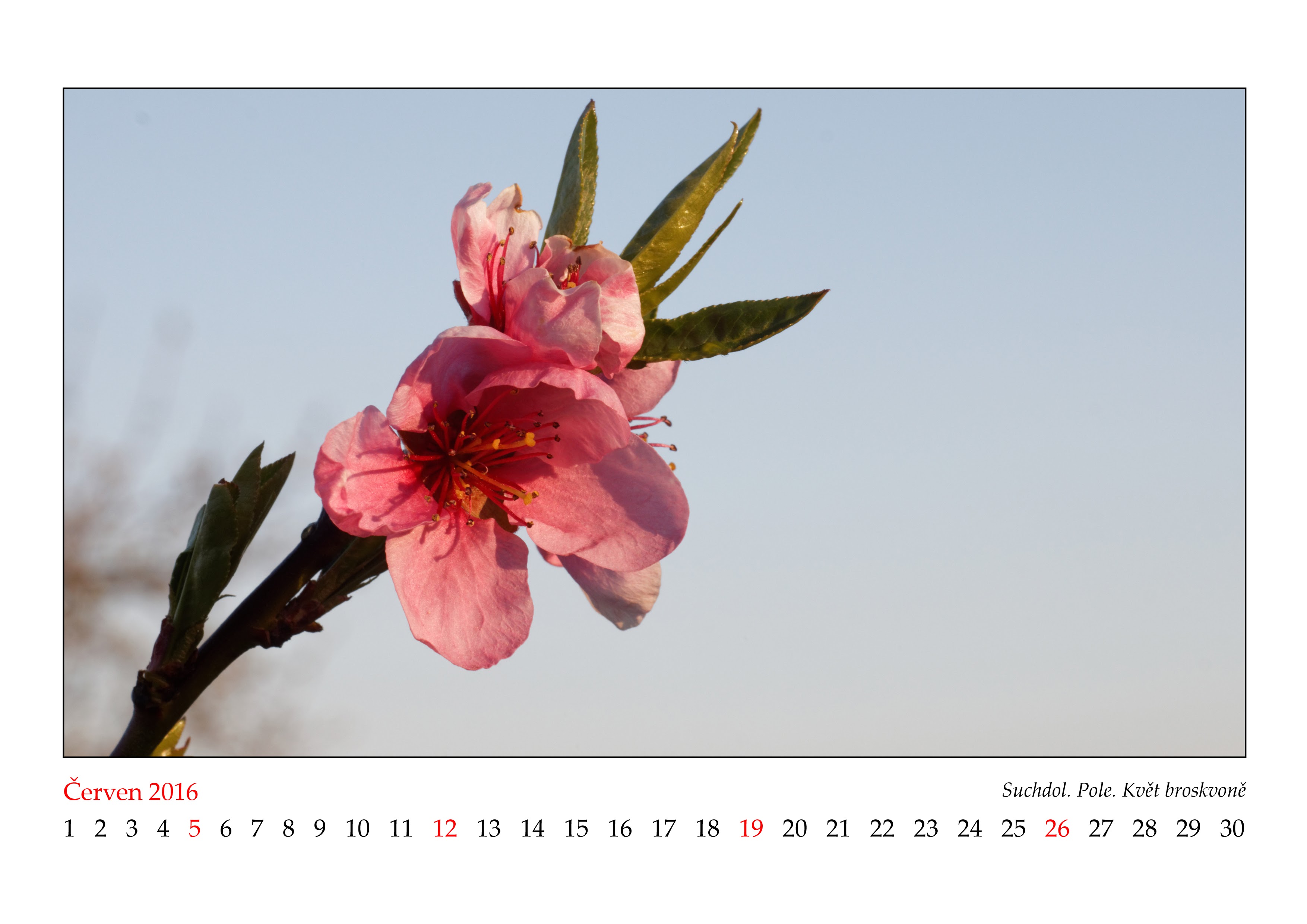 Album image copied from https://lh3.googleusercontent.com/-VL3ViQv4ghQ/VnXKgq39w7I/AAAAAAAB_0w/9EKHB6gRHiwwfmyYFEonMwQU2UCMyGOCgCJoC/w3508-h2480/2016_06.JPG