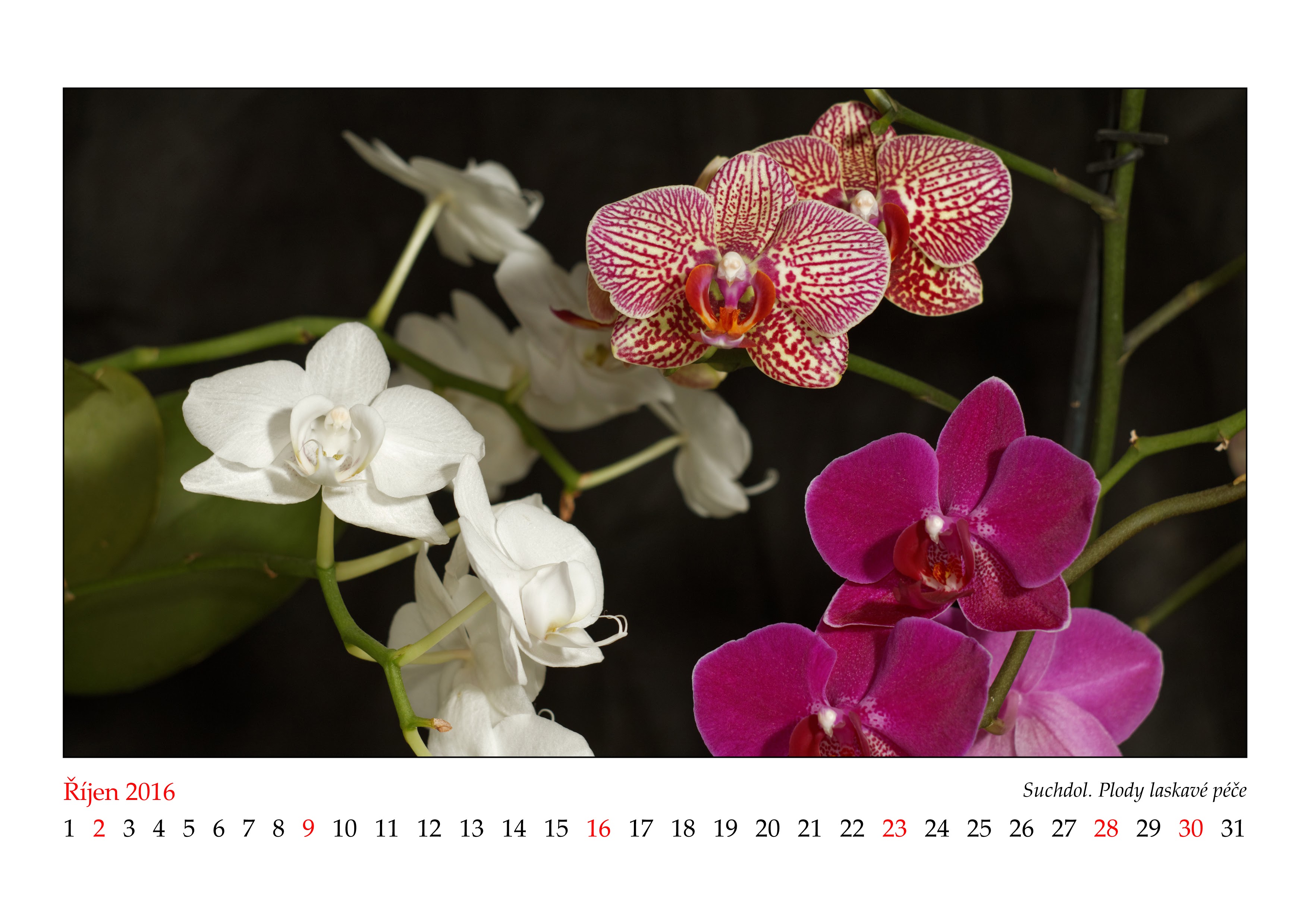 Album image copied from https://lh3.googleusercontent.com/-inRCgL1YrNc/VnXKgsJvAUI/AAAAAAAB_1A/pXH_6_c2jWA-huuAGAjaU2jFcd62s_K-wCJoC/w3508-h2480/2016_10.JPG