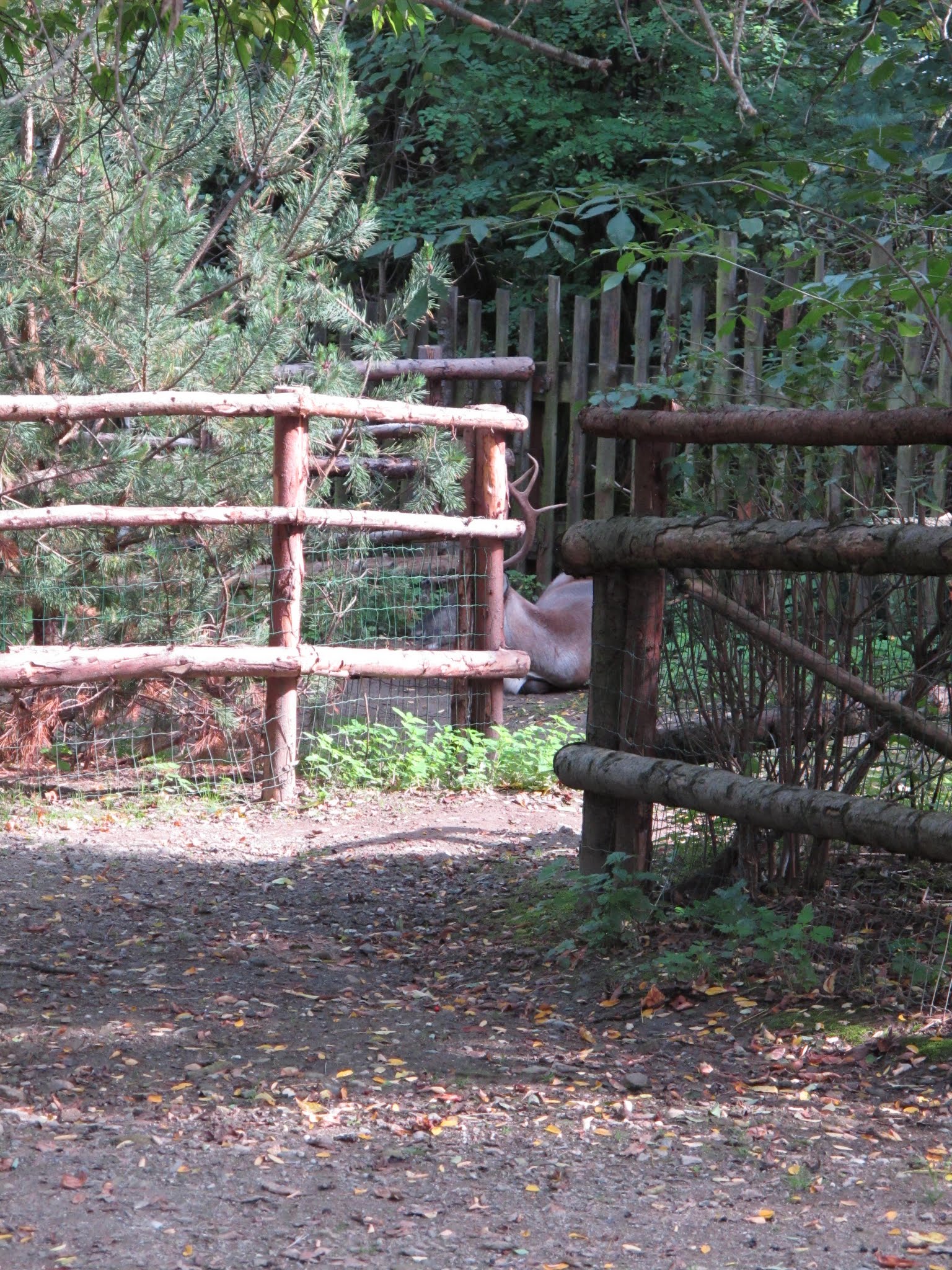 Album image copied from https://lh3.googleusercontent.com/-j_UGzFQFbkg/VB1-0d9JihI/AAAAAAAAT0s/5OSvDF1-L7EjUhSlNXnG2inXN6a3R2RxQCLABGAYYCw/s0-U-I/IMG_0614.JPG