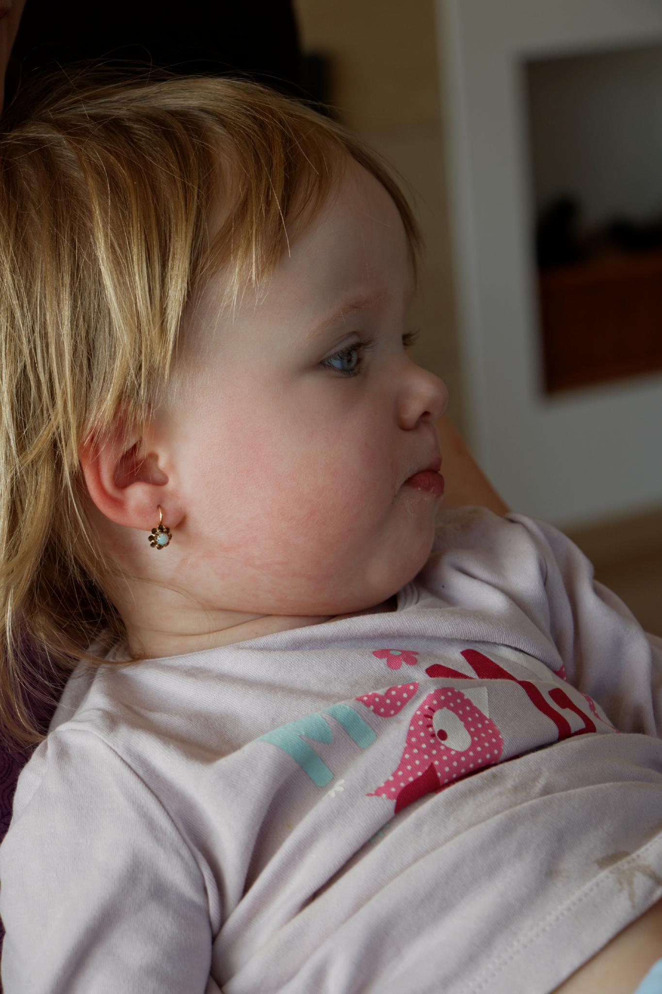 Album image copied from https://lh3.googleusercontent.com/-BtEXDwLQY7I/VRcgqJzXQUI/AAAAAAAAfdE/WLMlBSCvduYPw1jxnDyLRCLIfJkOazrYgCLABGAYYCw/s0-U-I/IMG_1167_DxO_web.jpg