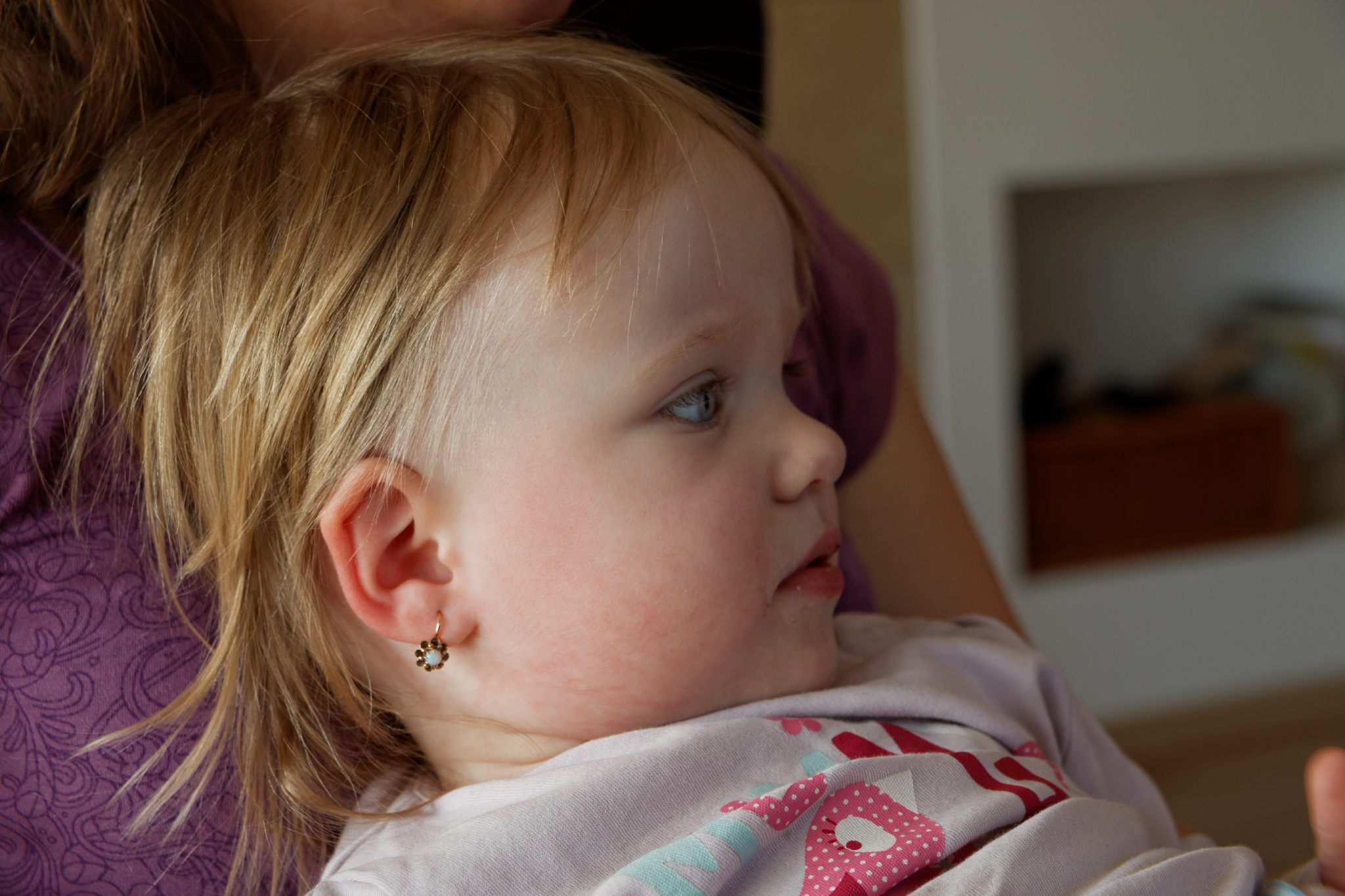 Album image copied from https://lh3.googleusercontent.com/-1DzStLoZrSY/VRcgwvvnn3I/AAAAAAAAfdU/eKaevLM6b8kF1cKlczPx453_DKKrzVMpgCLABGAYYCw/s0-U-I/IMG_1169_DxO_web.jpg