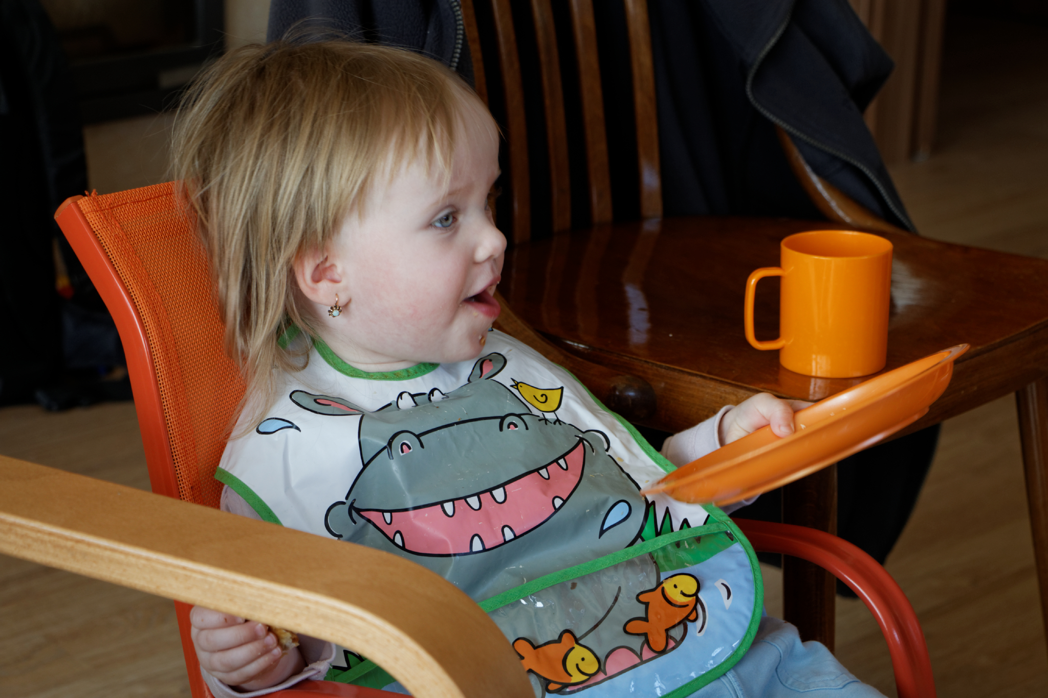 Album image copied from https://lh3.googleusercontent.com/-5oxW3KIF9Oo/VRchrRHqI_I/AAAAAAAAffs/zzXMq-3EWegIW_U_db5Nkxvxob6xsiWWQCLABGAYYCw/s0-U-I/IMG_1193_DxO_web.jpg