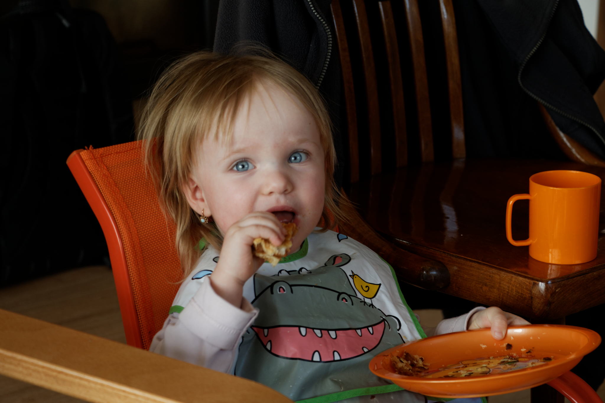 Album image copied from https://lh3.googleusercontent.com/-m84J3qvdHYE/VRchuWc6rgI/AAAAAAAAff0/lw-mcfhHqYMAPru18Jtw49OPkmUxX6eUACLABGAYYCw/s0-U-I/IMG_1196_DxO_web.jpg