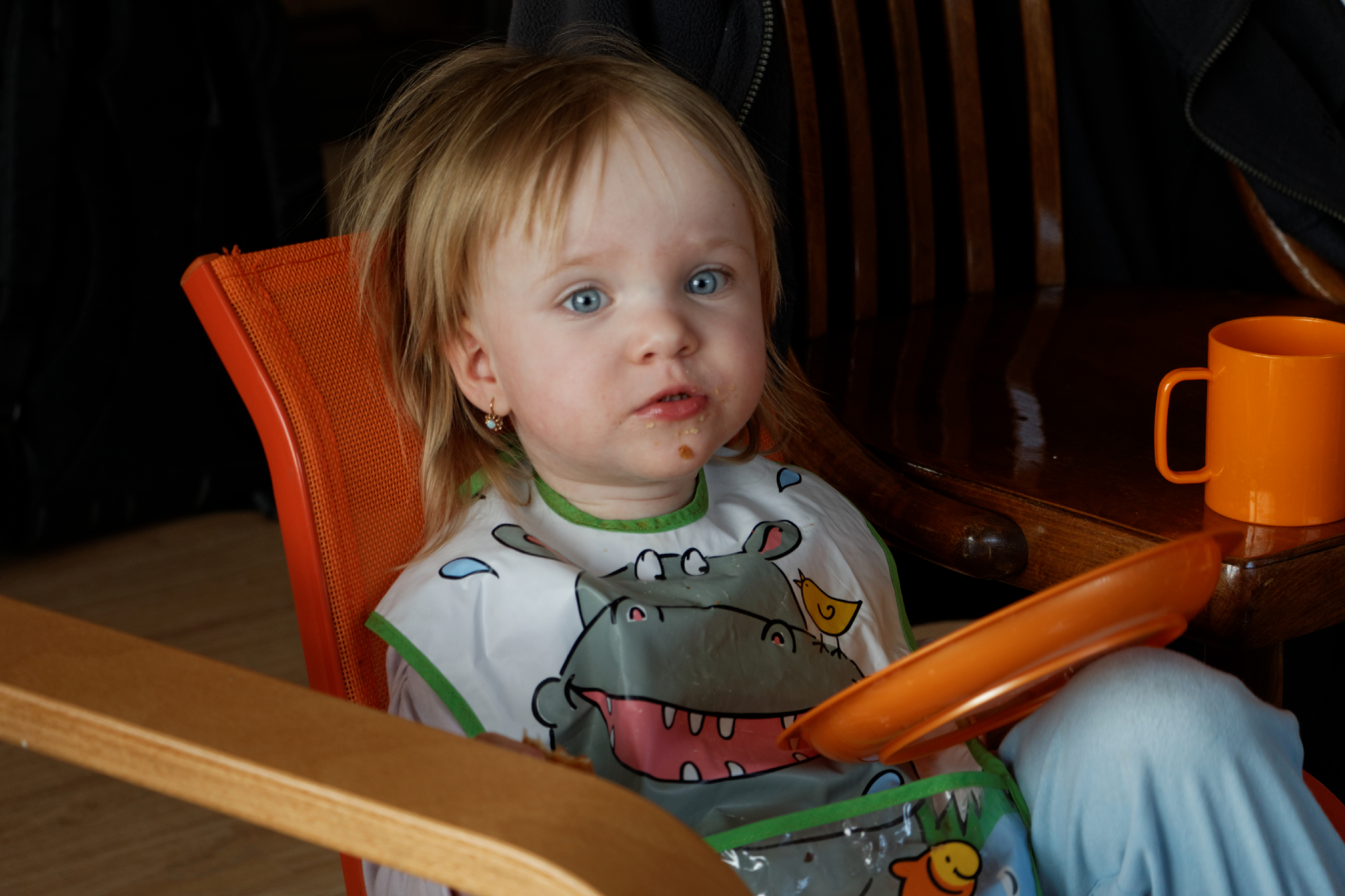 Album image copied from https://lh3.googleusercontent.com/-wyYloT7eYo4/VRch0Dh_Y-I/AAAAAAAAfgE/FQzl5m6HgnUaXZMX-Xz5vjdnm8ve6HZIQCLABGAYYCw/s0-U-I/IMG_1198_DxO_web.jpg