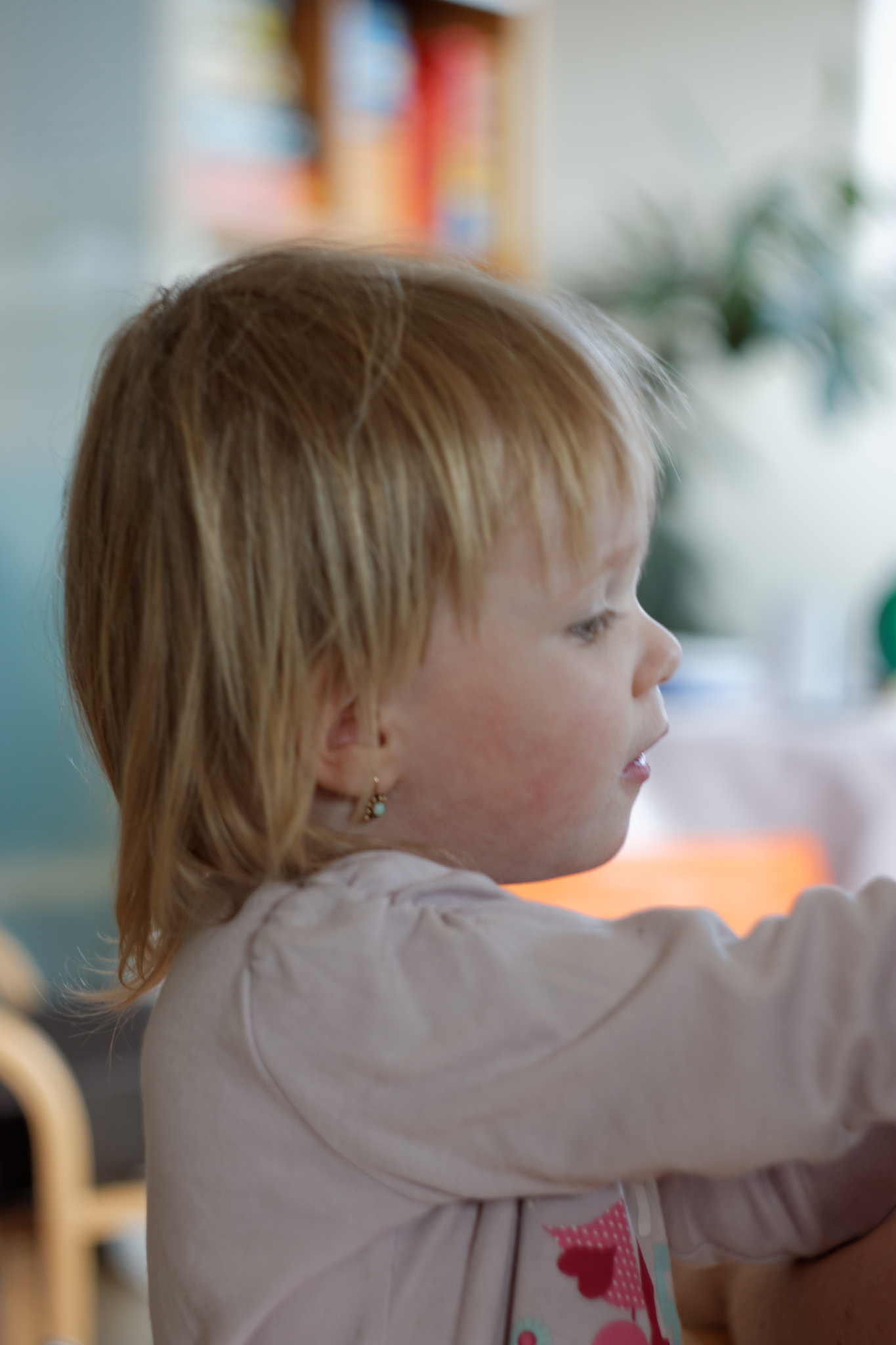 Album image copied from https://lh3.googleusercontent.com/-lwcm9TvXq8I/VRci6ISV-mI/AAAAAAAAfi8/FaJ6vGe2j_s-_3LwCv-P9UFi4bWDvkRAwCLABGAYYCw/s0-U-I/IMG_1232_DxO_web.jpg