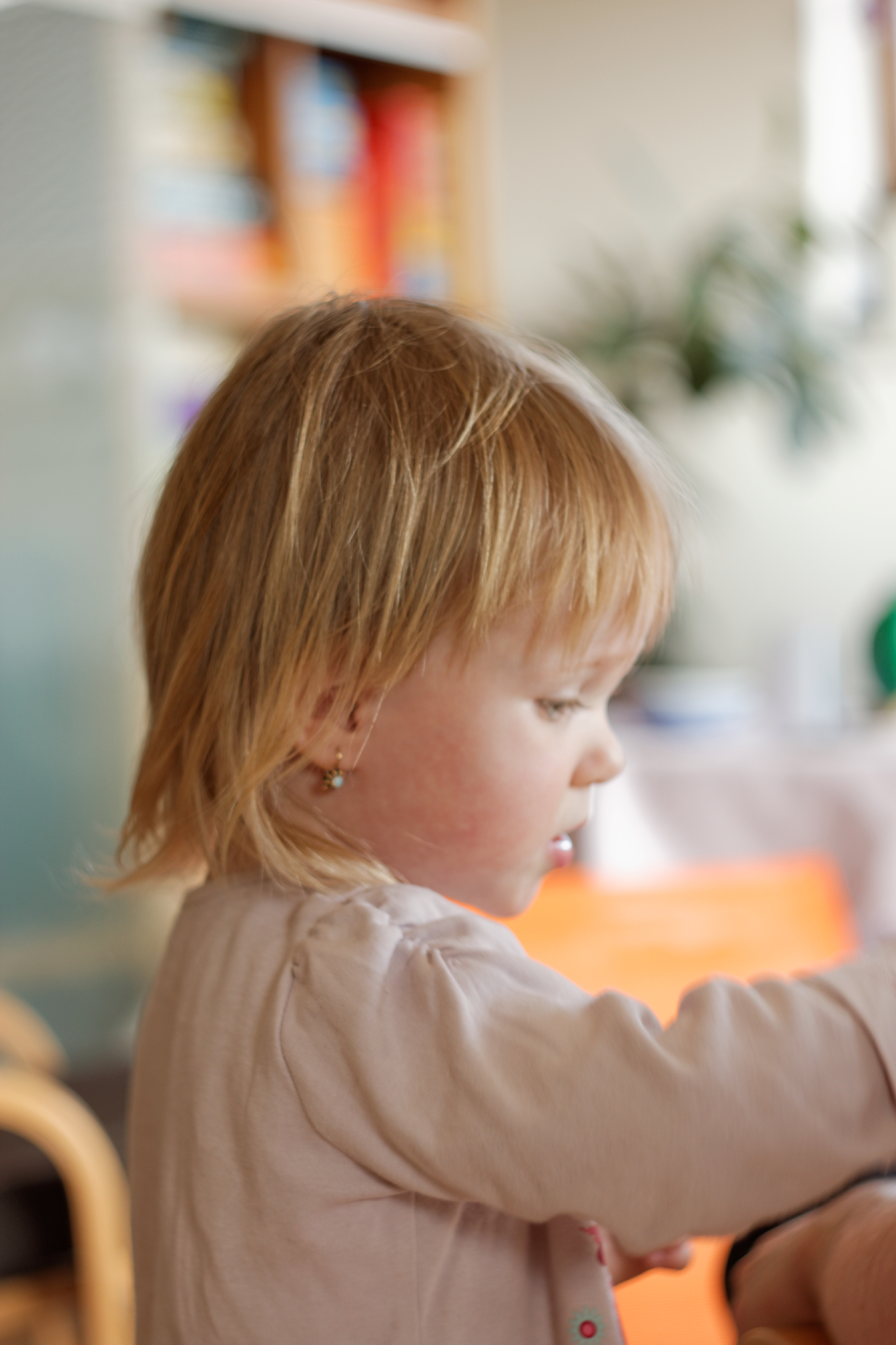 Album image copied from https://lh3.googleusercontent.com/-Yc71IXwYmaM/VRci8jM4DUI/AAAAAAAAfjI/PsBkvP9o9icW9QIp2PgauE-54ShZ-PFoQCLABGAYYCw/s0-U-I/IMG_1233_DxO_web.jpg