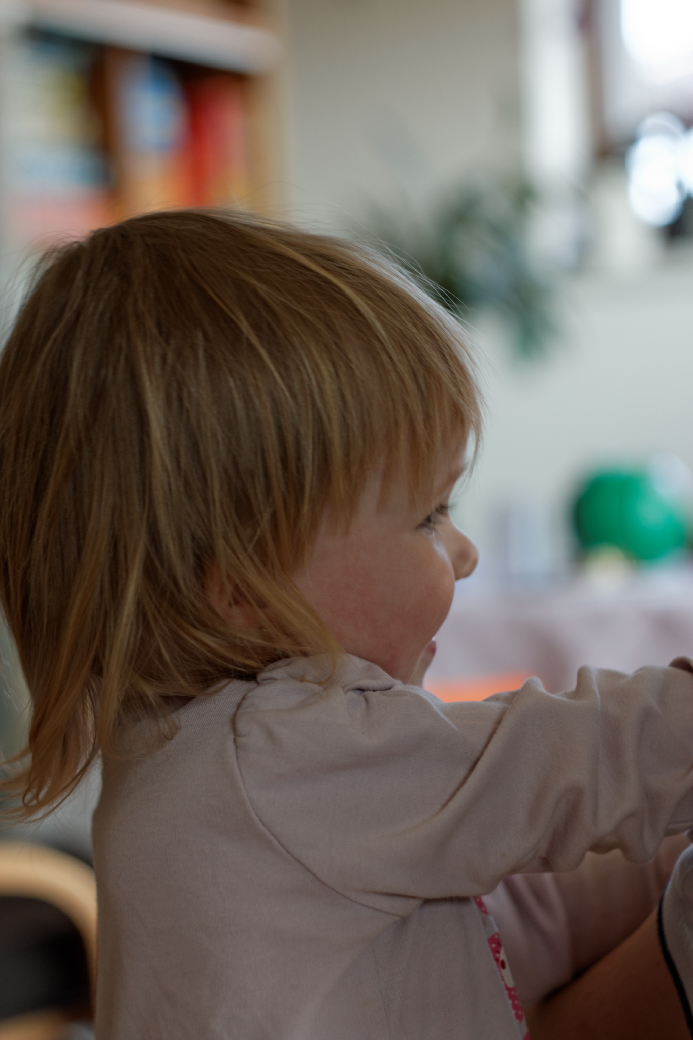 Album image copied from https://lh3.googleusercontent.com/-6pIuSQtRyUQ/VRcjAJ4KmEI/AAAAAAAAfjQ/XMT_8Hhu6h4o18hbMXdsab58QT1_42hKwCLABGAYYCw/s0-U-I/IMG_1235_DxO_web.jpg