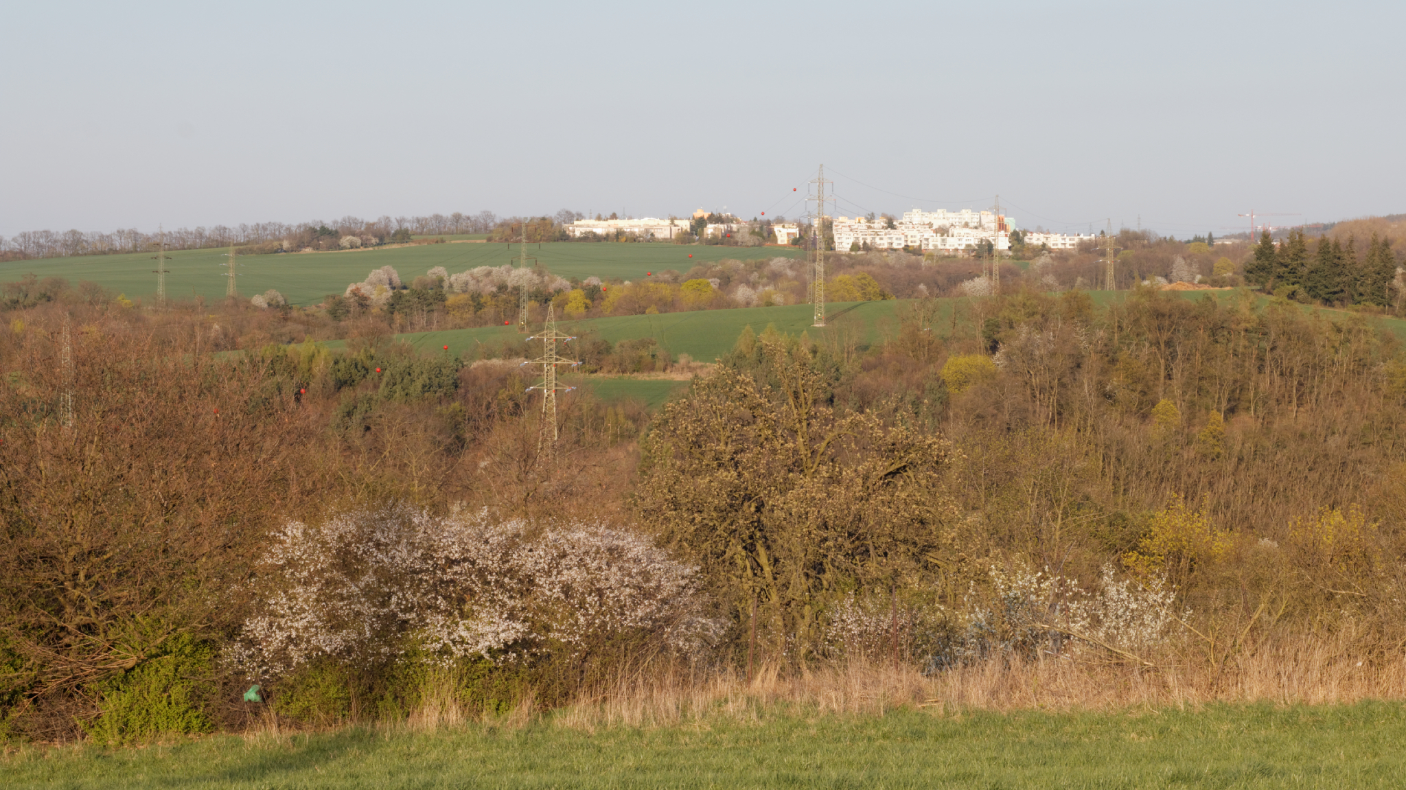 Album image copied from https://lh3.googleusercontent.com/-ifzoOH_Wo4c/VTX9I6WmLVI/AAAAAAAAhqE/BnKPzfgtflkmCvpY9dQAmfRReaO9TuB-gCLABGAYYCw/s0-U-I/IMG_1911_DxO_web.jpg