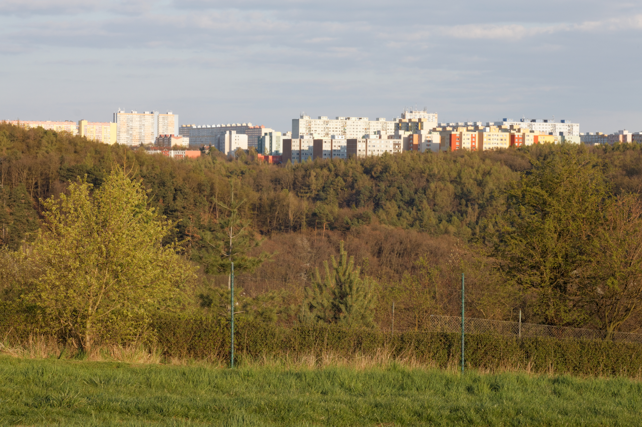 Album image copied from https://lh3.googleusercontent.com/-ejqZTrH3CF4/VTX9S3AGHkI/AAAAAAAAgbY/-Out7xMx2m0AGTeygKsM7XRrWEUnWiI6gCLABGAYYCw/s0-U-I/IMG_1915_DxO_web.jpg