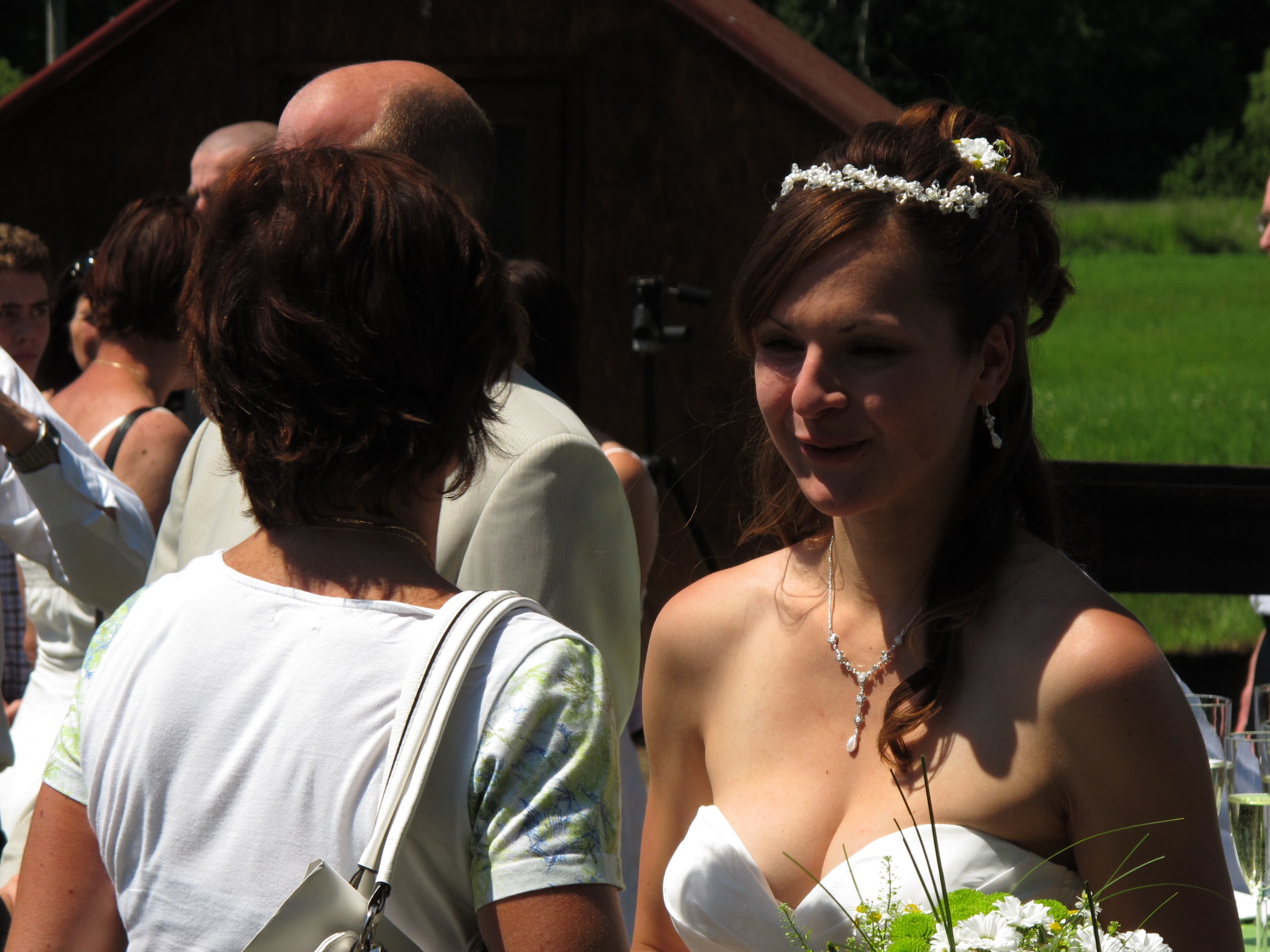 Album image copied from https://lh3.googleusercontent.com/-HkFBDhoBt2w/WCCOdtYZMpI/AAAAAAAC4uA/S_SN_yErwMEdv0lyFG-7mzzaf_WaeLqGQCLABGAYYCw/s0-U-I/IMG_2012.JPG