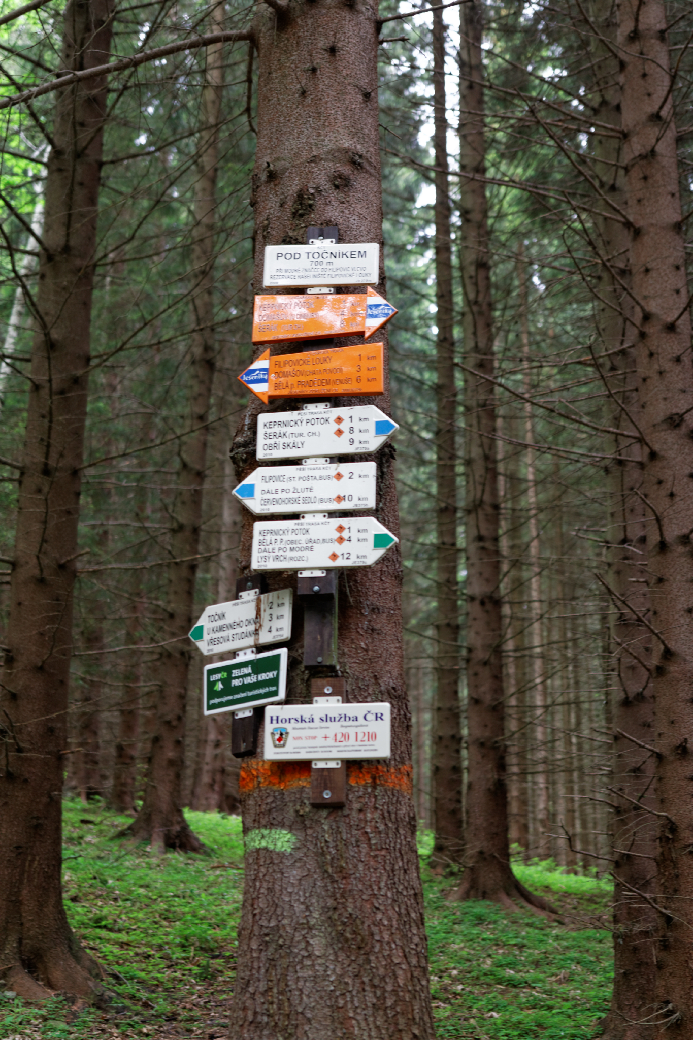 Album image copied from https://lh3.googleusercontent.com/-pU6SwPNJ91g/VW4lQF7etpI/AAAAAAAAk8Y/HvReuyT--aYUlPIz-RstS7dzzowahqIAQCLABGAYYCw/s0-U-I/IMG_2846_DxO_web.jpg