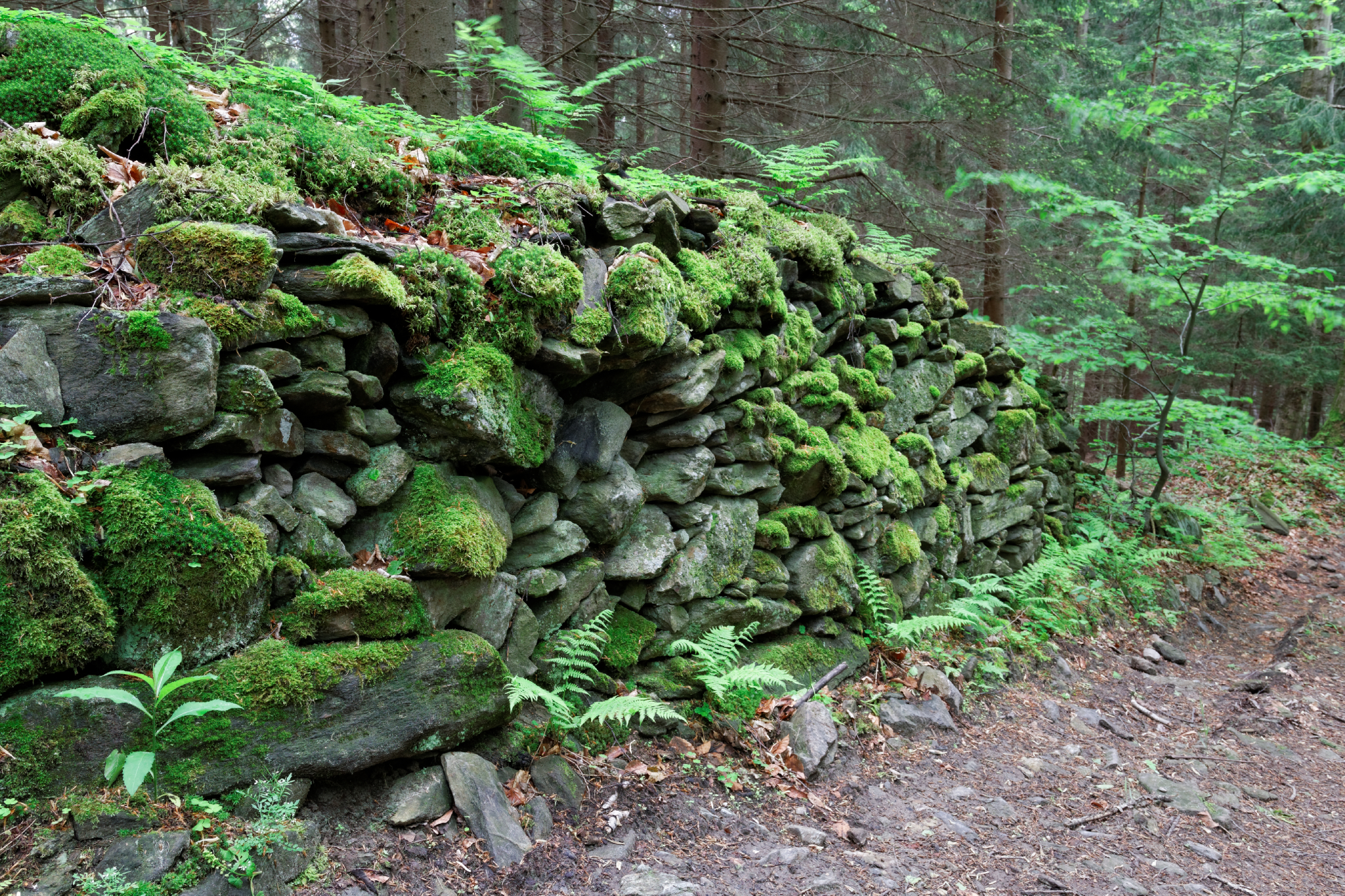 Album image copied from https://lh3.googleusercontent.com/-Ks044z_khyc/VW4lZDhVwRI/AAAAAAAAk8g/JgKgahrFbCQguHekOs4kCe_bGsn8fLN1ACLABGAYYCw/s0-U-I/IMG_2848_DxO_web.jpg