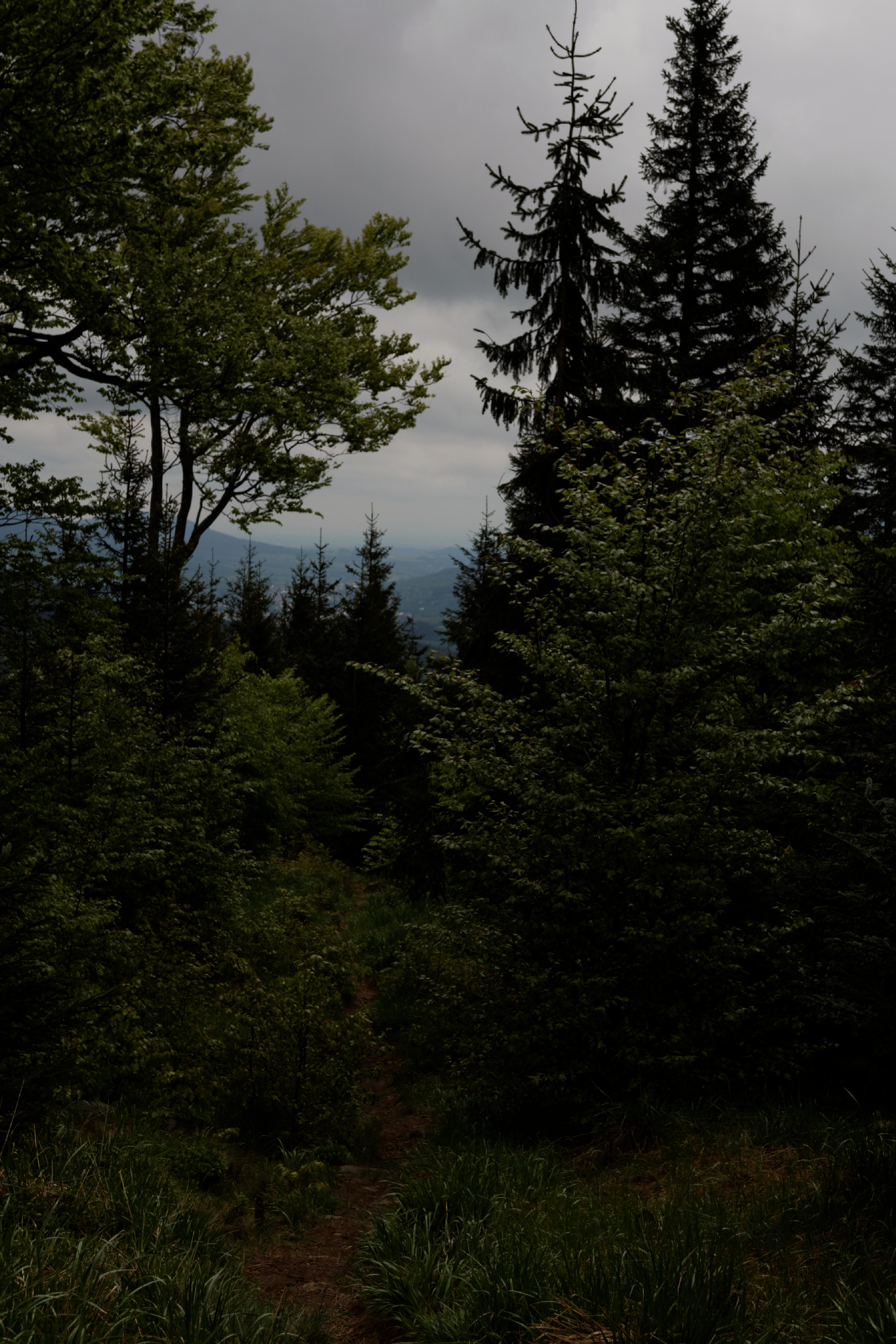 Album image copied from https://lh3.googleusercontent.com/-XEfo4pdr6eM/VW4mH7u-FjI/AAAAAAAAk9g/7ftvs3xIBlAYbtldhLYo0rgivRUoKg4BACLABGAYYCw/s0-U-I/IMG_2855_DxO_web.jpg