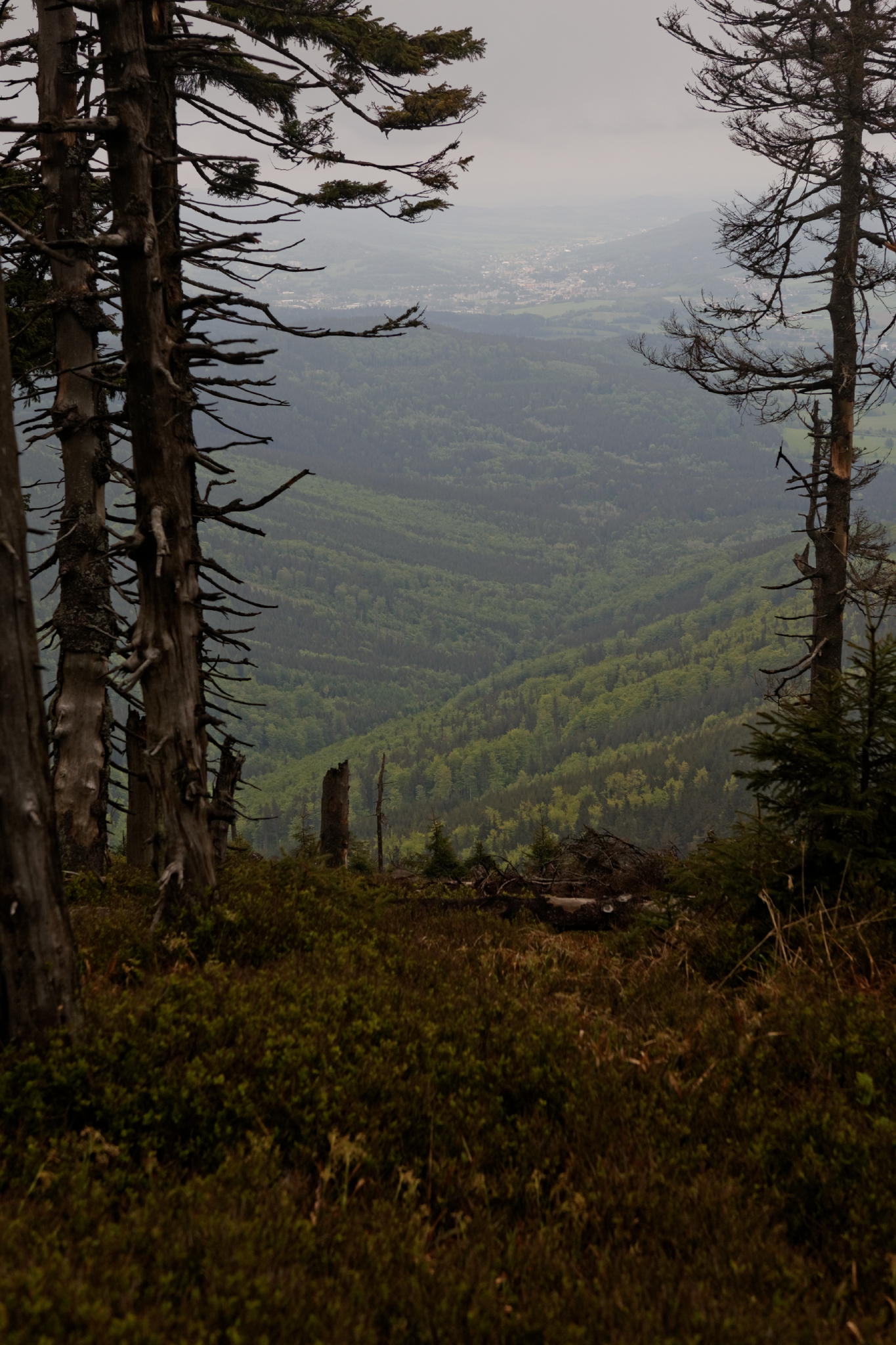 Album image copied from https://lh3.googleusercontent.com/-GZP_SlrmpD8/VW4m_ZSJaoI/AAAAAAAAk-0/OsWa47DSZXoVclGwxZ5oVURP7R1JImsVQCLABGAYYCw/s0-U-I/IMG_2866_DxO_web.jpg