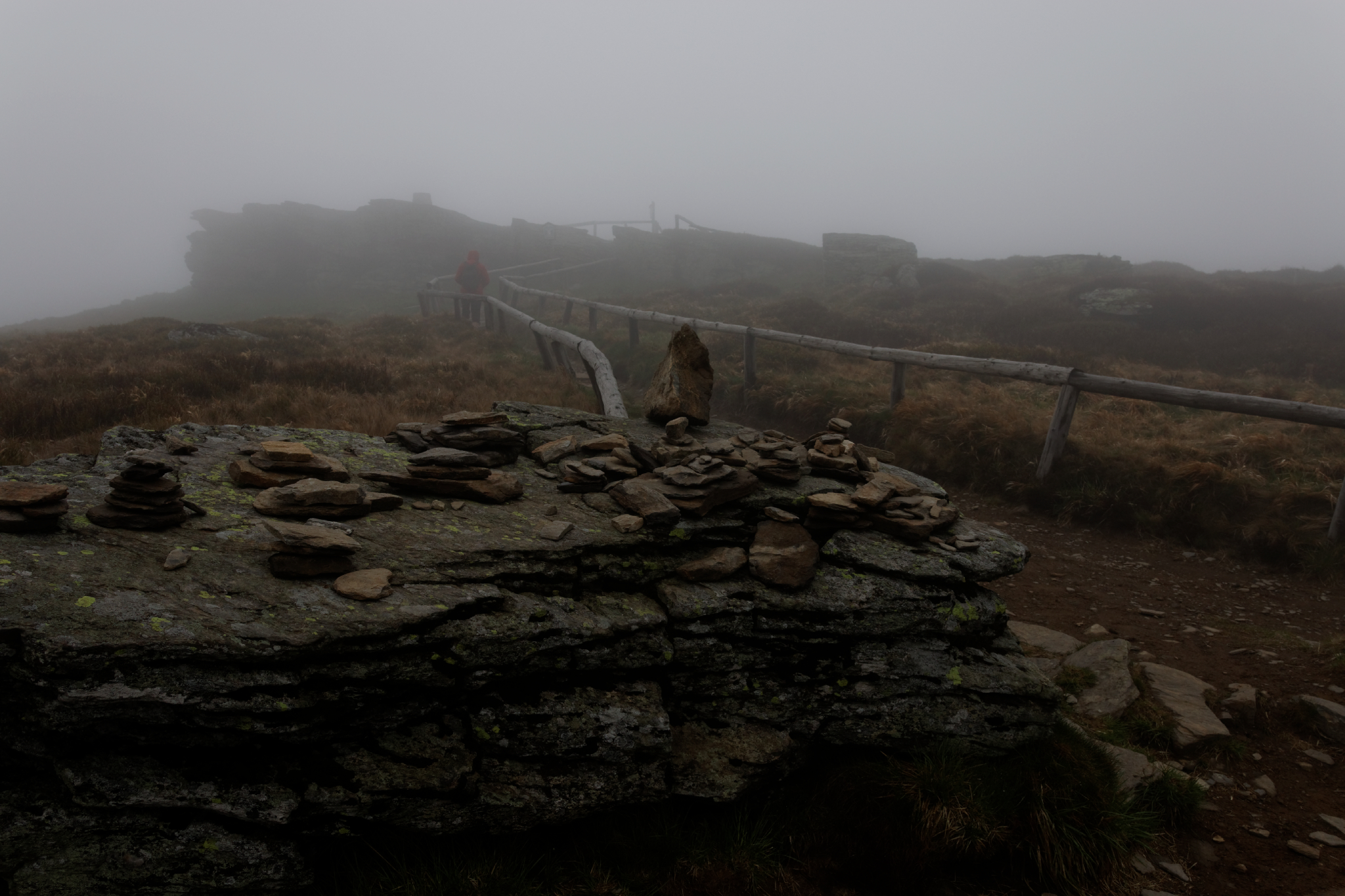 Album image copied from https://lh3.googleusercontent.com/-s_Bgs3uOMnc/VW4nfXxnsHI/AAAAAAAAk_o/hQseyCTs-iIqGCIfhtvJ3uaRvOtkrlwYwCLABGAYYCw/s0-U-I/IMG_2871_DxO_web.jpg