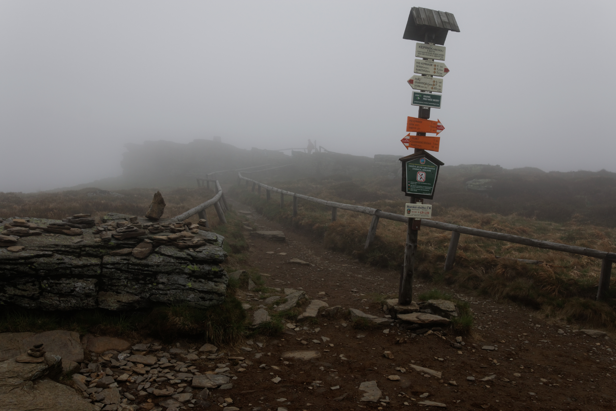 Album image copied from https://lh3.googleusercontent.com/-qyLpo6gUA1M/VW4nkxaZuhI/AAAAAAAAk_w/l6SoOSl3pSQANhQiUAiyAQvmBPUA0oTCACLABGAYYCw/s0-U-I/IMG_2872_DxO_web.jpg