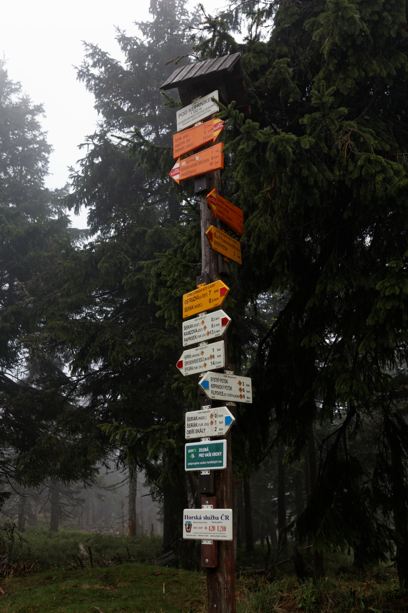 Album image copied from https://lh3.googleusercontent.com/-Xx6jDhq0MwY/VW4oYreJnHI/AAAAAAAAlA4/uN6_3xPWhqIJb5b9LkkvszSMwpbyM0kIgCLABGAYYCw/s0-U-I/IMG_2881_DxO_web.jpg