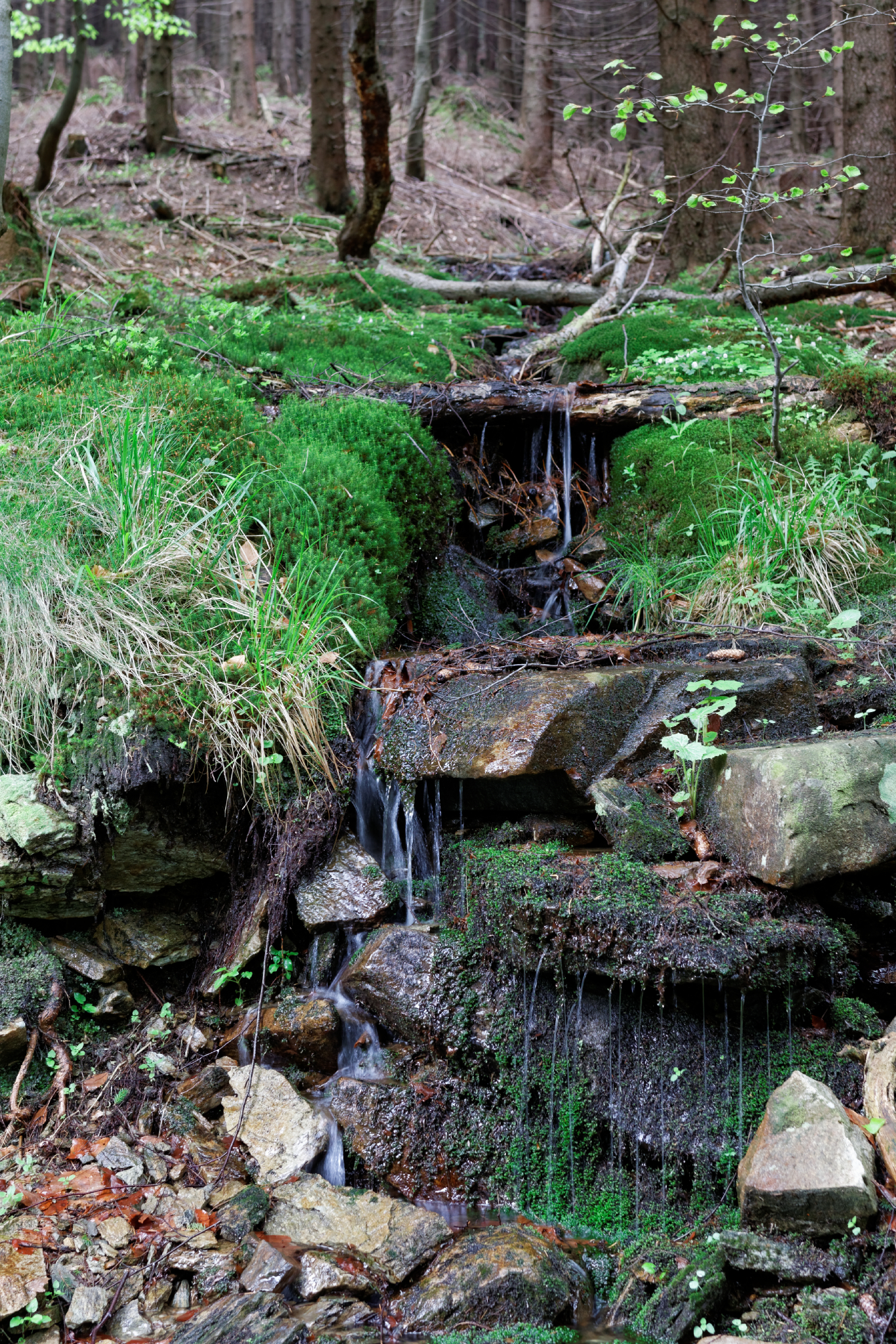 Album image copied from https://lh3.googleusercontent.com/-XRREbL50nSo/VW4pMycc3nI/AAAAAAAAlCU/534BhqlrvRIzoBPc1Q-gnLuTCEslbGnxACLABGAYYCw/s0-U-I/IMG_2892_DxO_web.jpg