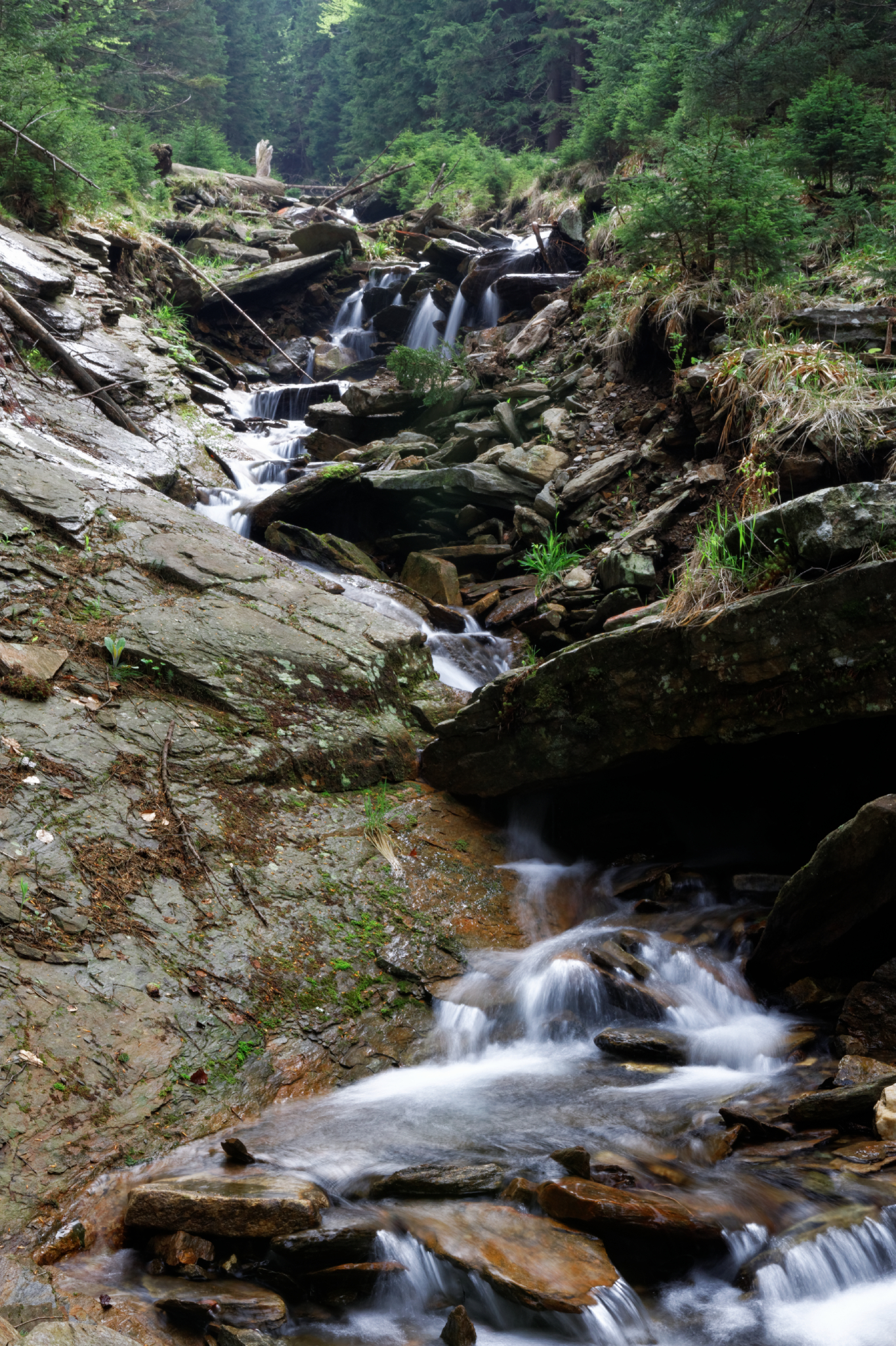 Album image copied from https://lh3.googleusercontent.com/-Lxk0WnRN6WY/VW4pjMB_XJI/AAAAAAAAlCs/ZsUtR4TxGQg5S7mpaAaFWwcCs9DTPerQgCLABGAYYCw/s0-U-I/IMG_2898_DxO_web.jpg