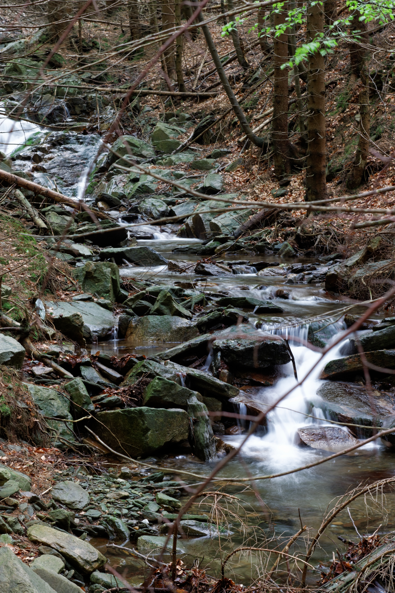 Album image copied from https://lh3.googleusercontent.com/-1uBnMAOCv8Q/VW4qBuMZePI/AAAAAAAAlDY/amvXAlrY7a8XwSZGuVOZ-yURXtV8NewRACLABGAYYCw/s0-U-I/IMG_2902_DxO_web.jpg