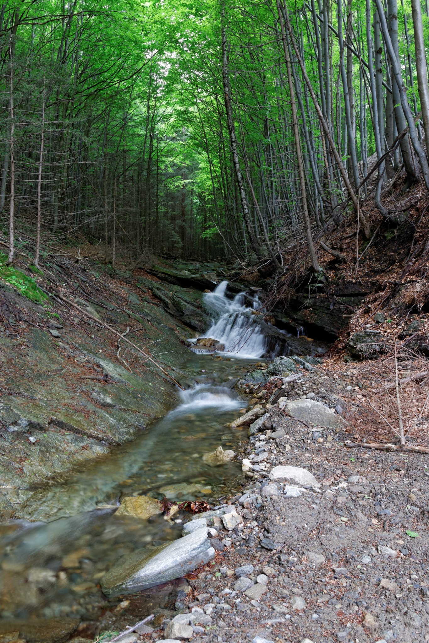 Album image copied from https://lh3.googleusercontent.com/-fwhUrpKxkis/VW4qf_47cfI/AAAAAAAAlD4/7sywGHSpU8M3c81LHm47k9YAGJe0fZUFwCLABGAYYCw/s0-U-I/IMG_2908_DxO_web.jpg