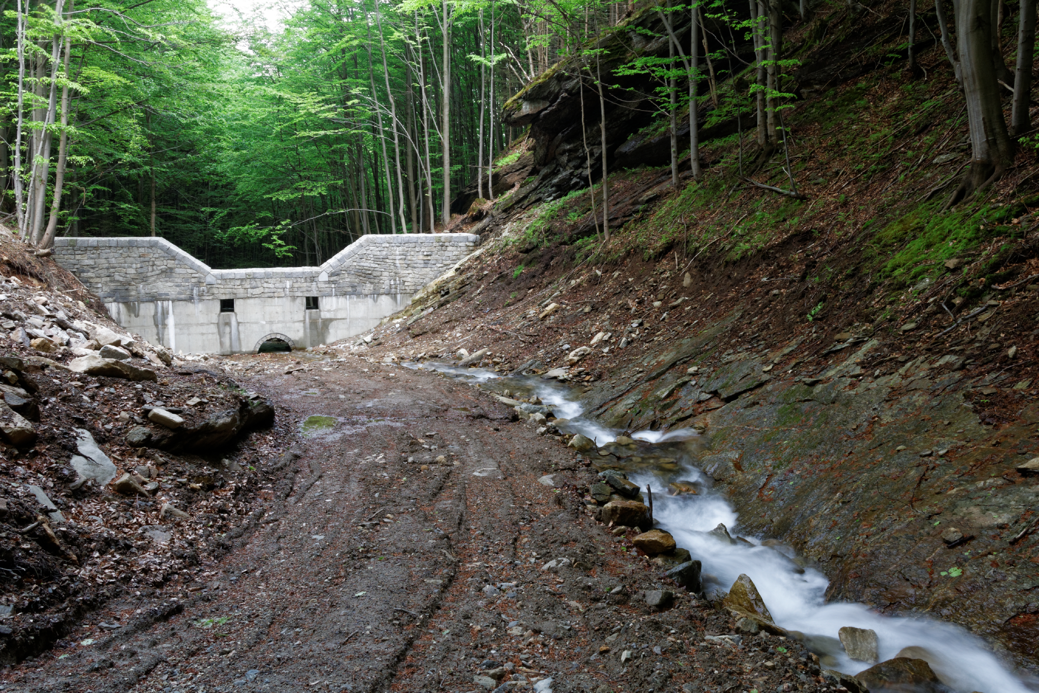 Album image copied from https://lh3.googleusercontent.com/-39yALKRIB4M/VW4qx11hFYI/AAAAAAAAlEI/gtgjtDgAbVcw-jX_ST-4TdyqgOhBak-DQCLABGAYYCw/s0-U-I/IMG_2910_DxO_web.jpg