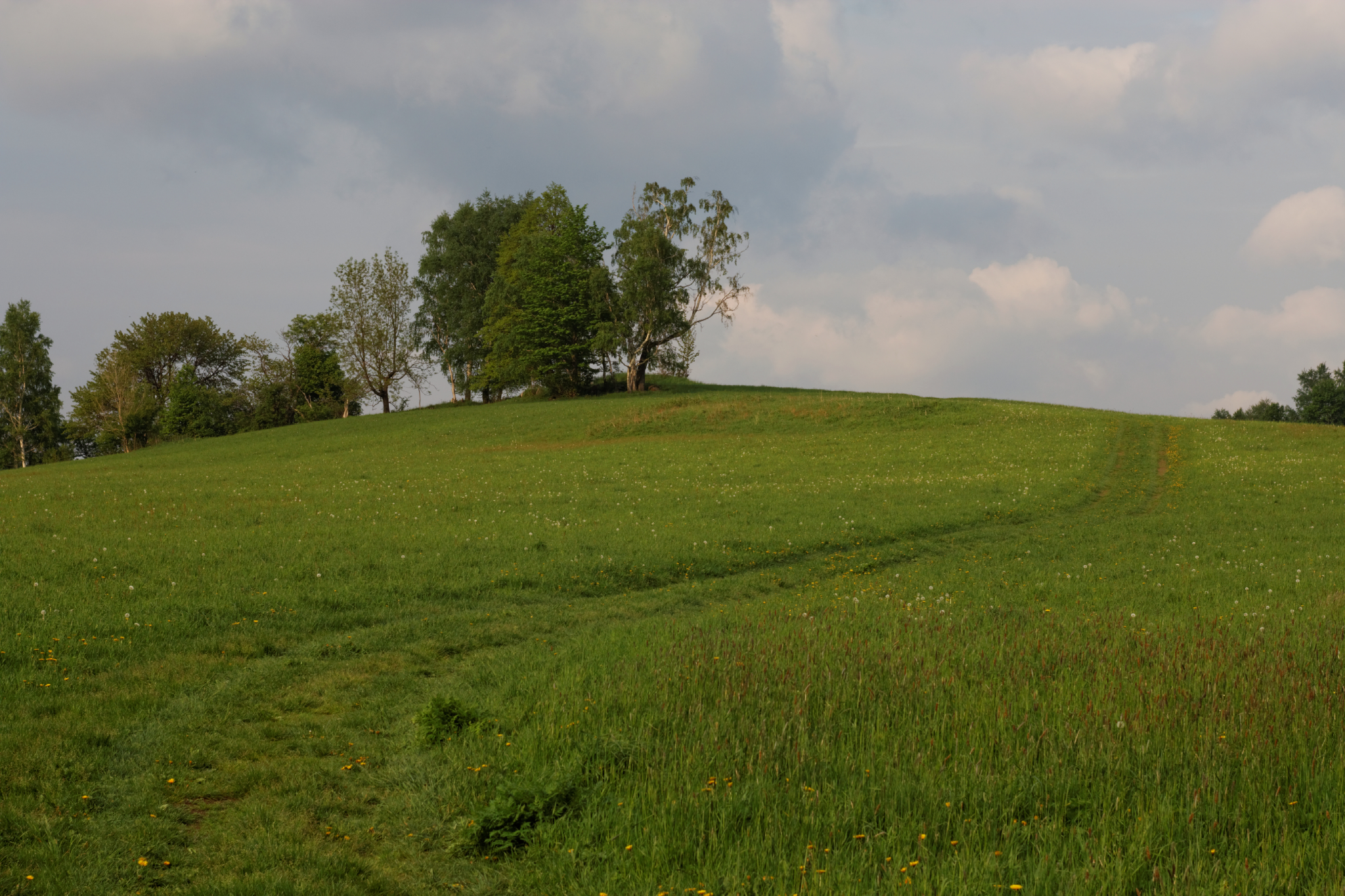 Album image copied from https://lh3.googleusercontent.com/-b3tTMF4c2QU/VW4r5degksI/AAAAAAAAlFk/V5vQipYJxX47DctBpy4vQml7vXONY4ISwCLABGAYYCw/s0-U-I/IMG_2920_DxO_web.jpg