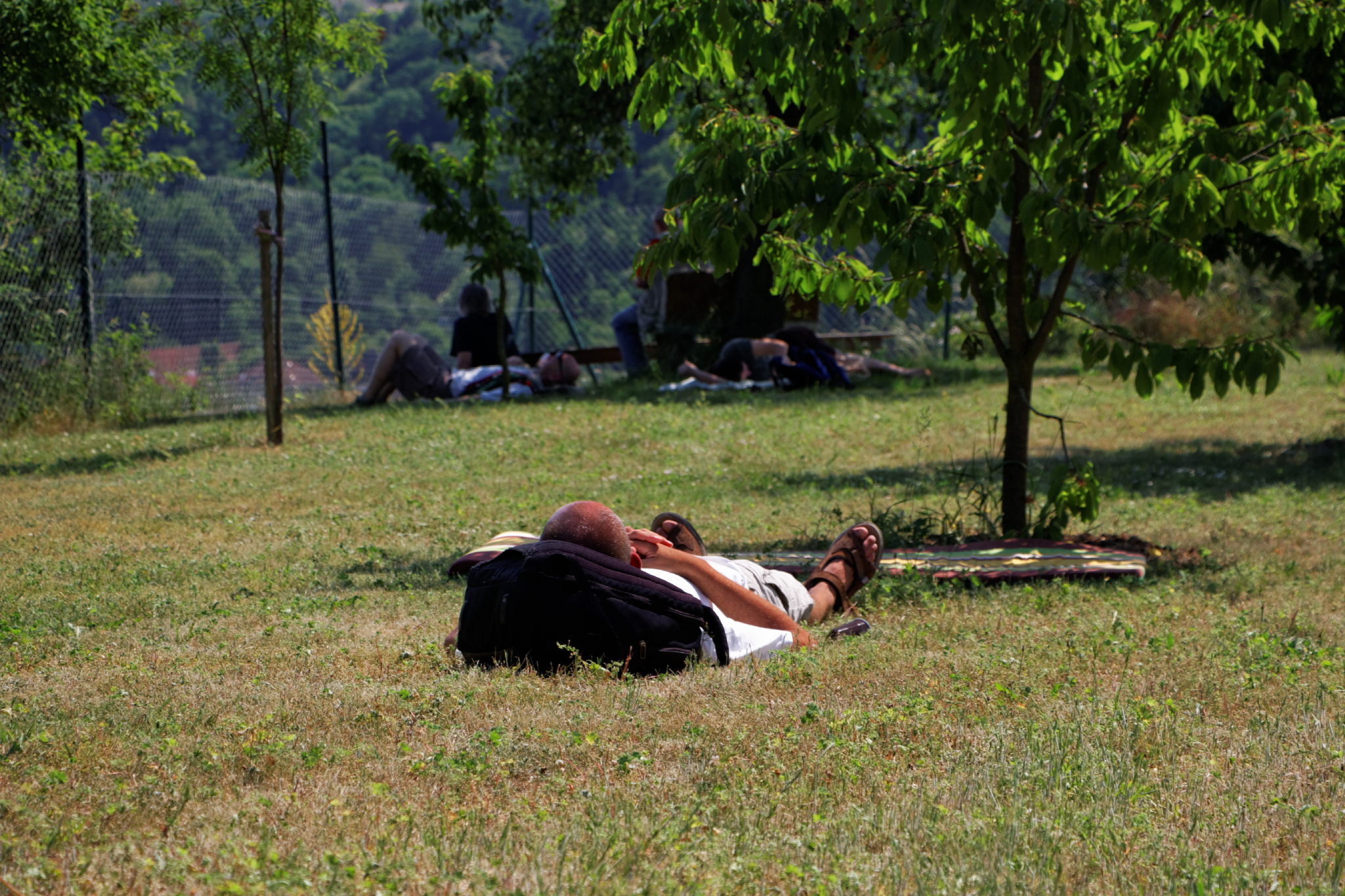 Album image copied from https://lh3.googleusercontent.com/-gmdI2e8FgMw/VXlF7DcfoaI/AAAAAAACHx8/HsdVw9ImkjsM9LMW5ik1N4ermBq1zhilQCLABGAYYCw/s0-U-I/IMG_3392_DxO_web.jpg