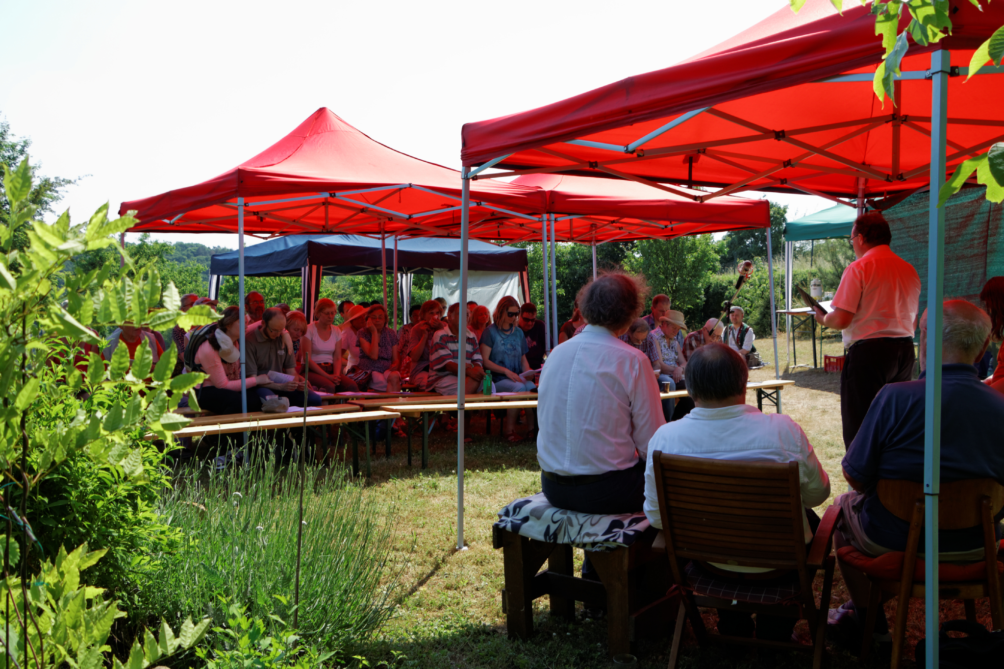 Album image copied from https://lh3.googleusercontent.com/-g_CCb1u1_nk/VXlIeBEHMlI/AAAAAAAC3I8/XBSUenMvfJEzDd0DM3mY7IMn2sm1b2_eACLABGAYYCw/s0-U-I/IMG_3420_DxO_web.jpg