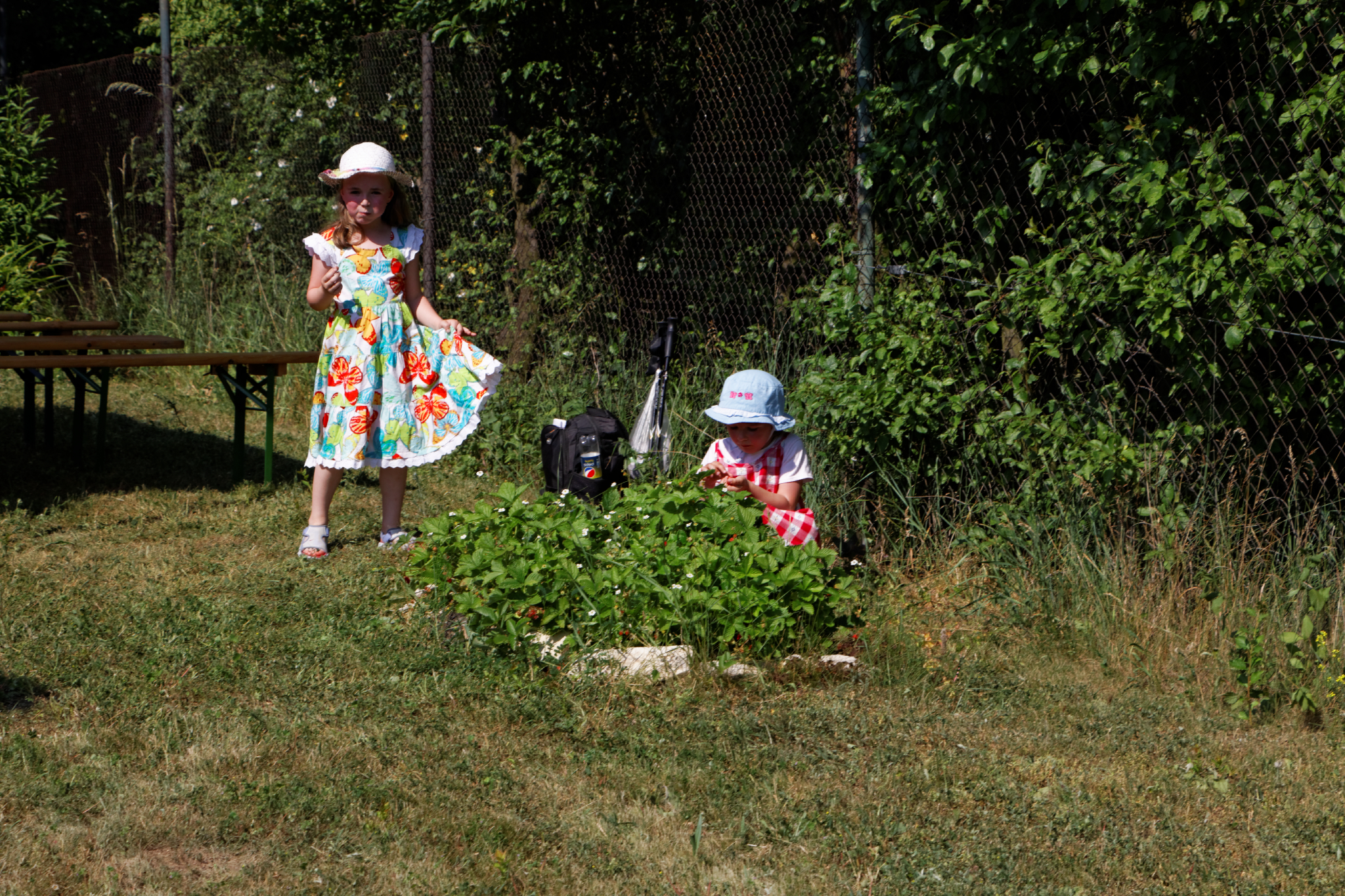 Album image copied from https://lh3.googleusercontent.com/-z7c7ypmQ6p4/VXlKmKEysRI/AAAAAAAC3I4/LfNDzKLKoiUWKyORhdTK09uL-BpbuSBCACLABGAYYCw/s0-U-I/IMG_3446_DxO_web.jpg