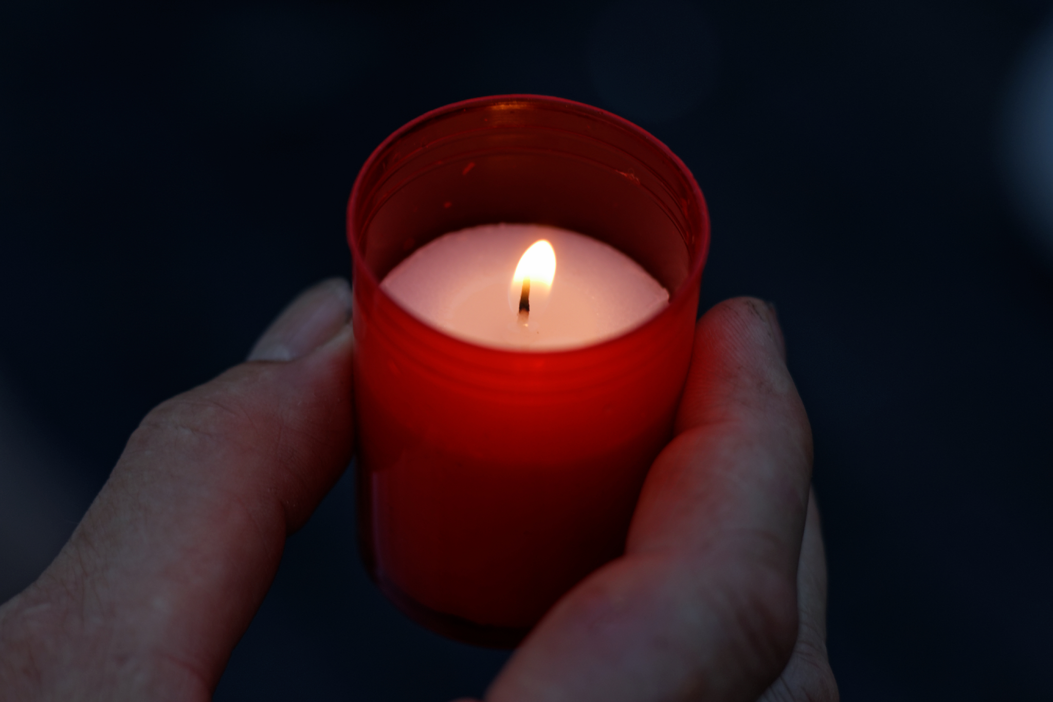 Album image copied from https://lh3.googleusercontent.com/-uu_FNUlKuBg/VXmaGwo6EtI/AAAAAAAAyVo/AQrdnuSI56I5RlAFM62PM3olC-HJBXP8wCLABGAYYCw/s0-U-I/IMG_3500_DxO_web.jpg