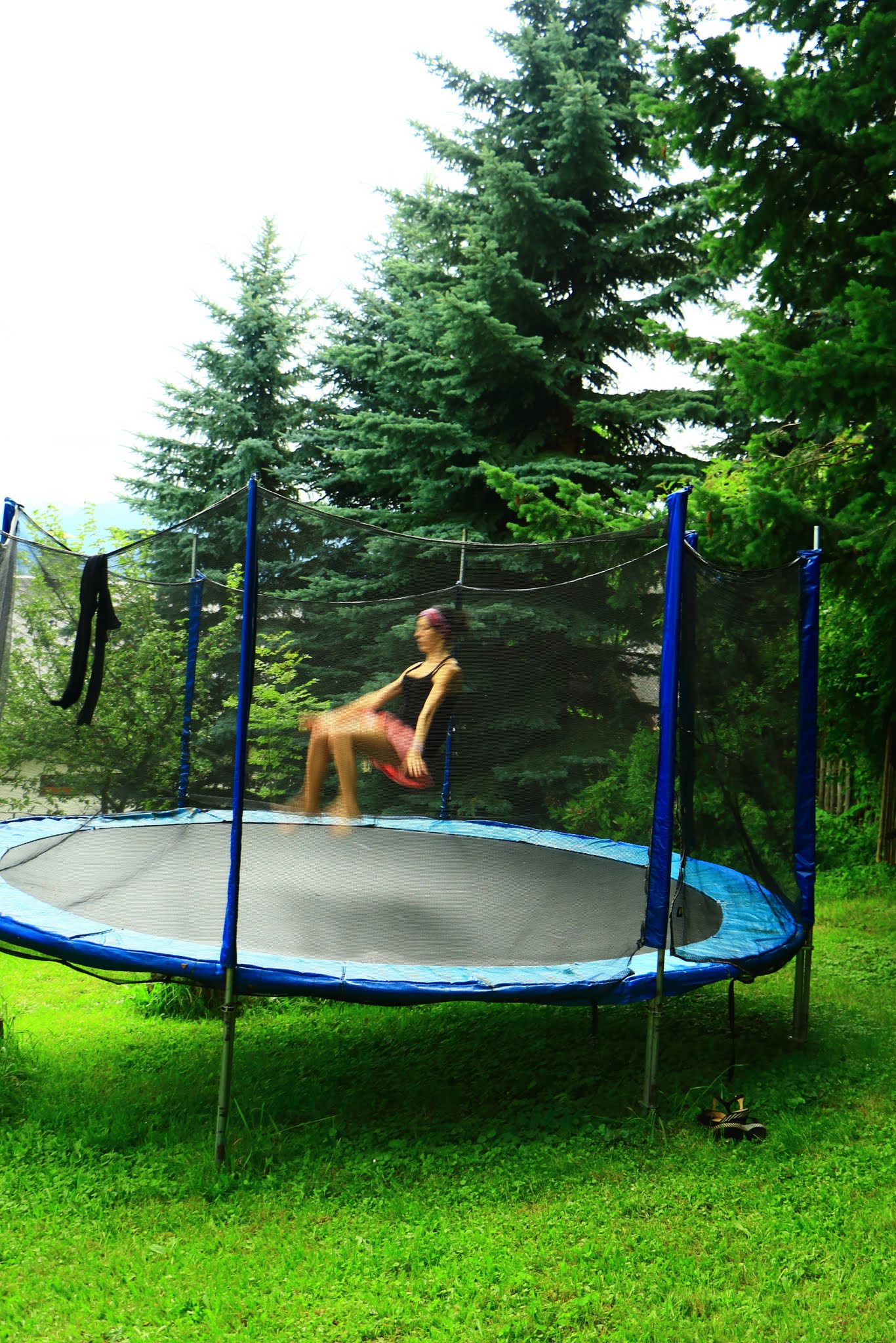 Album image copied from https://lh3.googleusercontent.com/-f7kGA1eXyEo/VHdoc2hbQII/AAAAAAAAZjg/wWKVsrxcbTENRZGc1Yim_E0N8yIIat_nQCLABGAYYCw/s0-U-I/IMG_3916.JPG