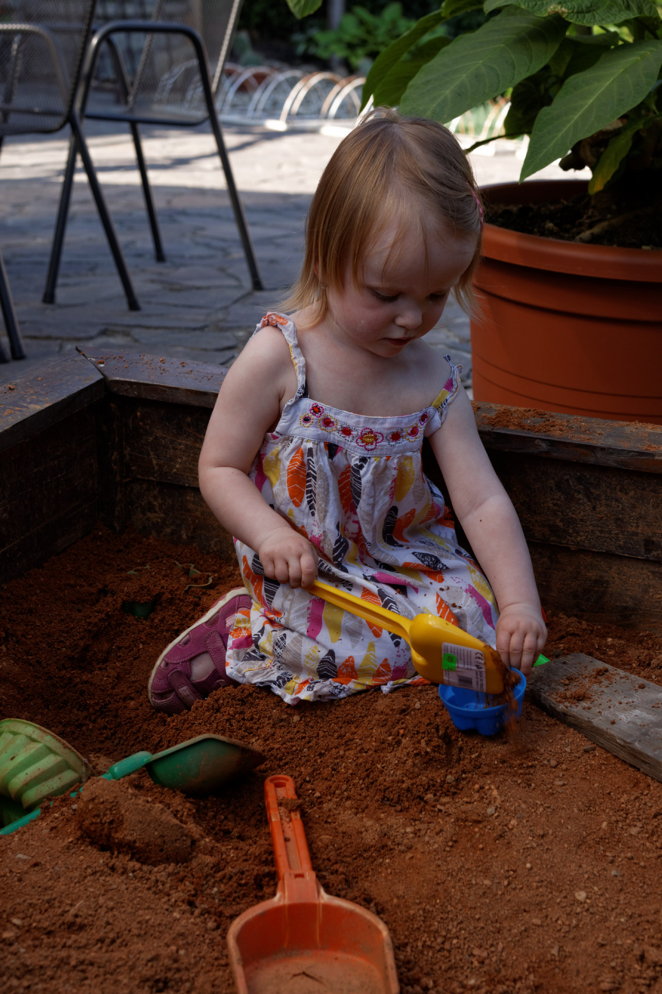 Album image copied from https://lh3.googleusercontent.com/-X5i7QEStxfQ/VXzvOgjiQRI/AAAAAAAC4tk/OoZSk-NbcXYGdG4KTIX_gwzCxpcxei7YwCLABGAYYCw/s0-U-I/IMG_4015_DxO_web.jpg