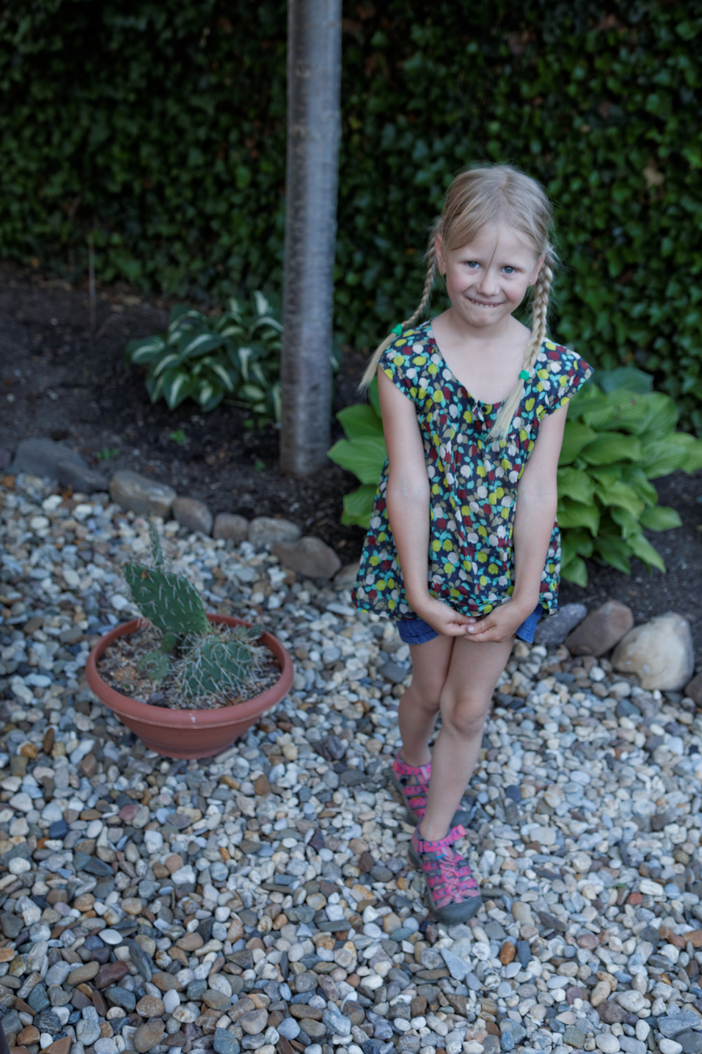 Album image copied from https://lh3.googleusercontent.com/-vwNrZW6q-ps/VXzzIfprtqI/AAAAAAAC4tk/SM99YuWluQQaXmAkXDhZNPWimcgUzv4HQCLABGAYYCw/s0-U-I/IMG_4181_DxO_web.jpg