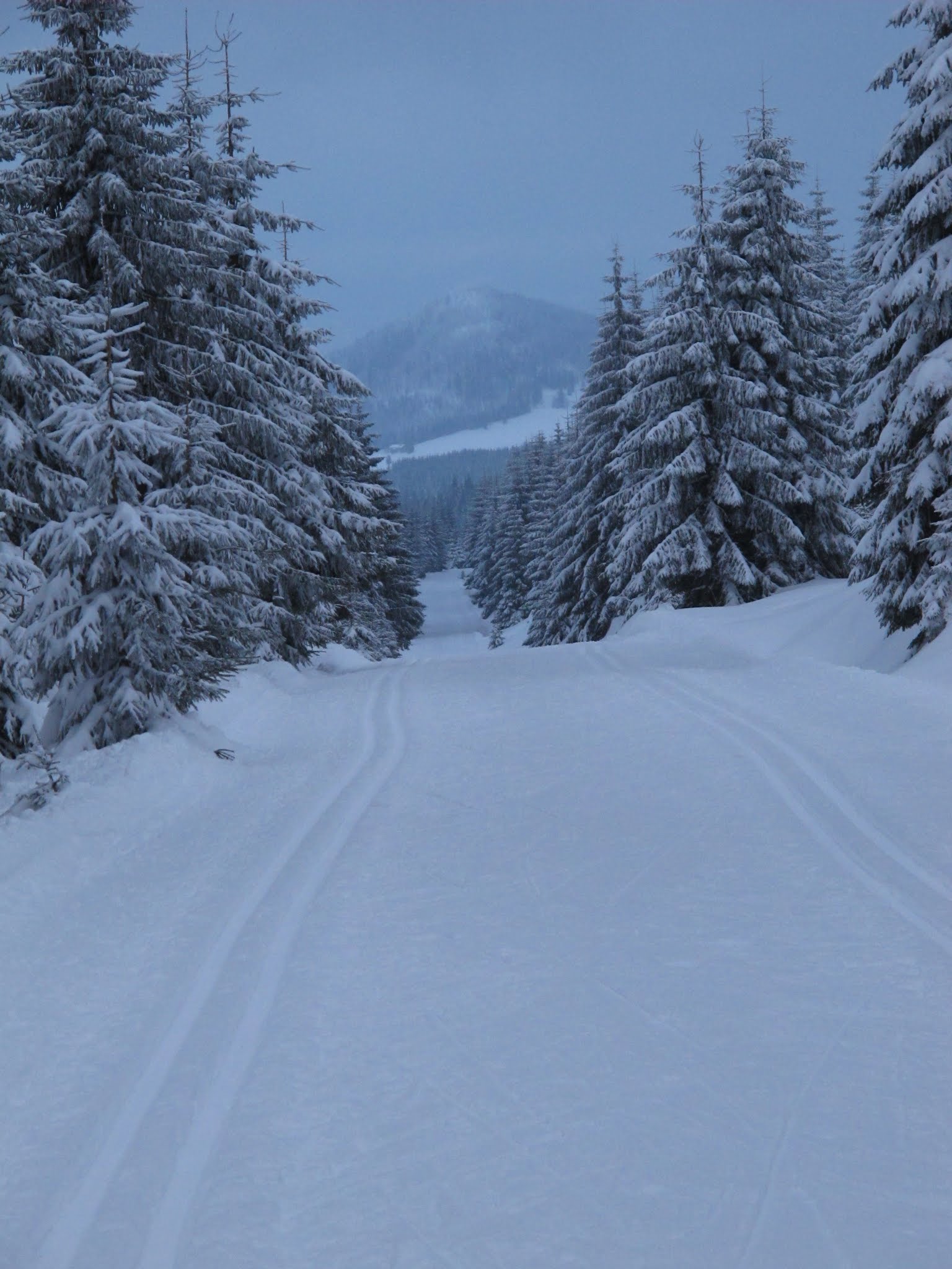 Album image copied from https://lh3.googleusercontent.com/-8pb5FTDBL7A/URqv4mFae2I/AAAAAAAC3K0/fr0ZH_o9cZEQq5d0Z6G6IrSvKPW0A0l8ACLABGAYYCw/s0-U-I/IMG_4208.JPG