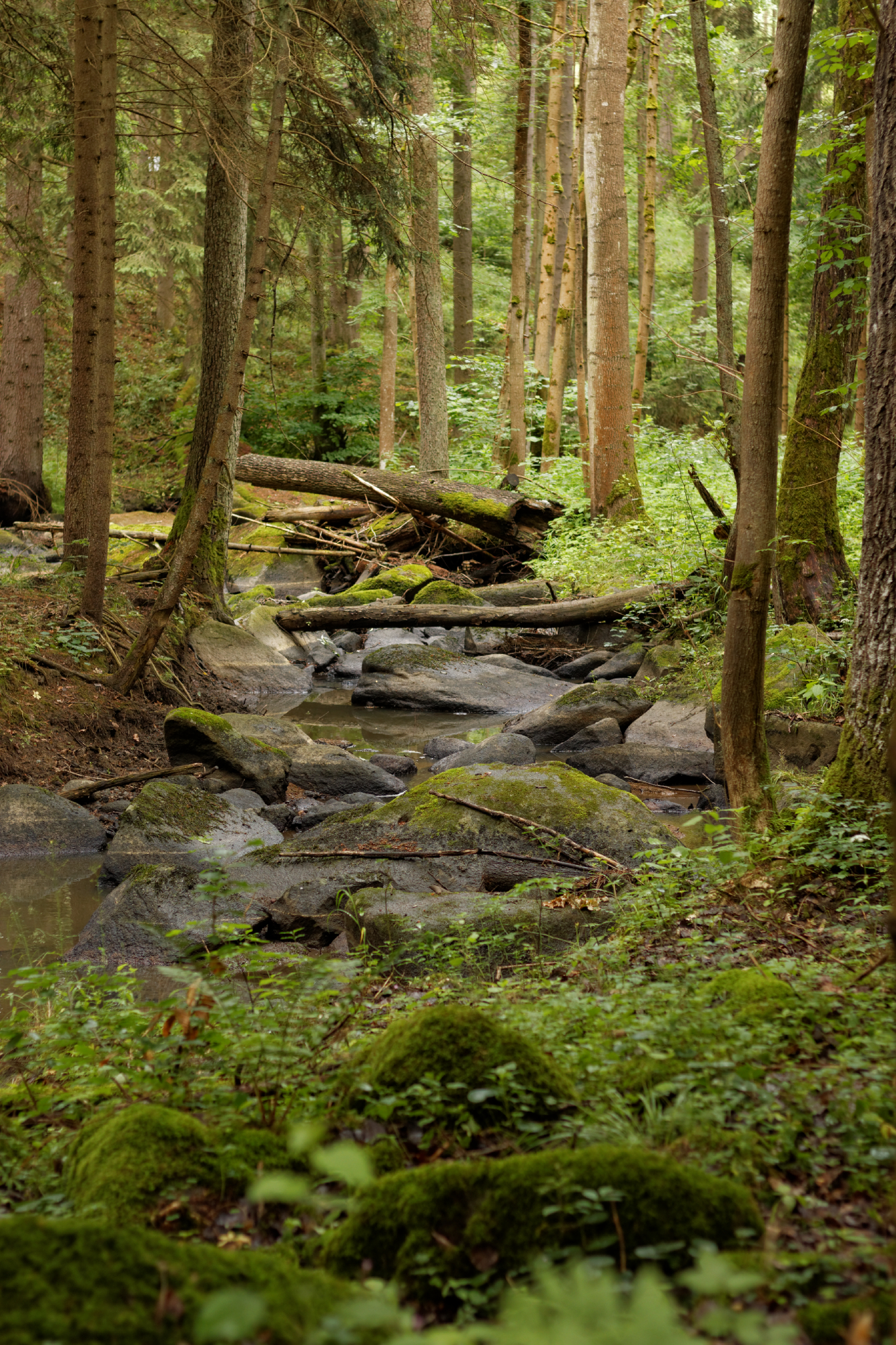 Album image copied from https://lh3.googleusercontent.com/-anEaDAROWlw/VYk4SkW1CcI/AAAAAAACJHc/XfHL5YQtJ_sBUOaXrz74ExGbEtbTTCEowCLABGAYYCw/s0-U-I/IMG_4541_DxO_web.jpg