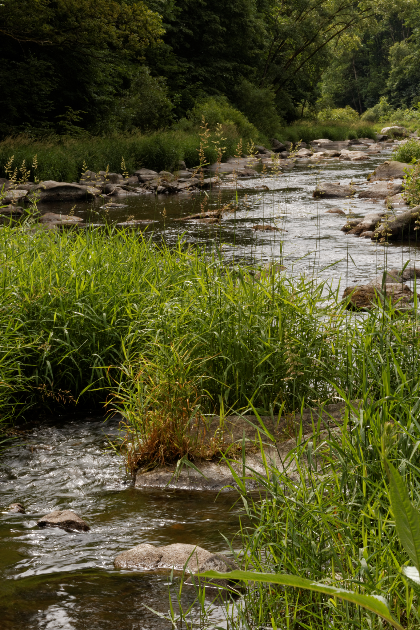 Album image copied from https://lh3.googleusercontent.com/-MYFsIqfmOXA/VYk4bwrP1GI/AAAAAAACJHc/N12Cupv9mKEItTngejodiZYjBeYPv7gbQCLABGAYYCw/s0-U-I/IMG_4544_DxO_web.jpg