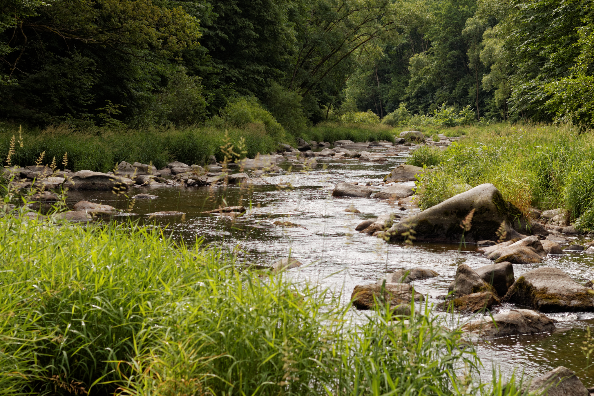 Album image copied from https://lh3.googleusercontent.com/-6n2TGKdIY4k/VYk4g4P7TEI/AAAAAAACflA/ExdYe-dLLQg1Ua6YxnYYcV3_oFQrsCjLgCLABGAYYCw/s0-U-I/IMG_4545_DxO_web.jpg