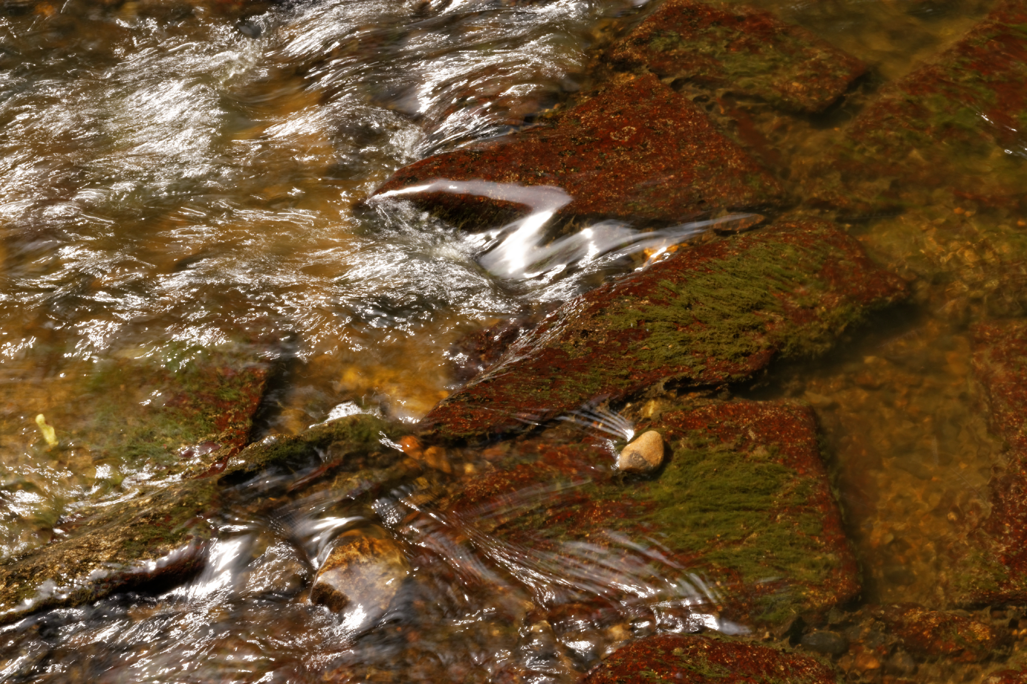 Album image copied from https://lh3.googleusercontent.com/-rbDO5QjjT28/VYk4vt8friI/AAAAAAACJHc/opCnc90C2i4GOBgvc2Ohtt2S296wlIErwCLABGAYYCw/s0-U-I/IMG_4551_DxO_web.jpg