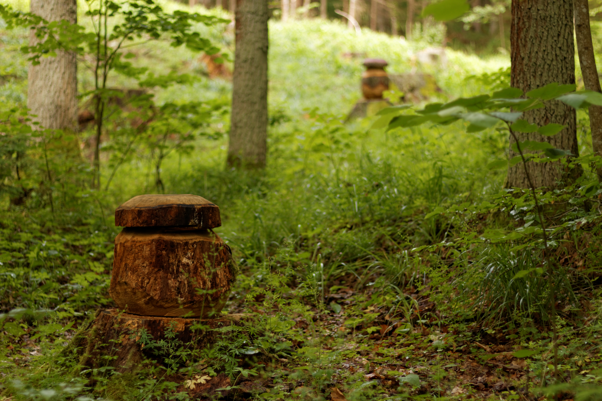 Album image copied from https://lh3.googleusercontent.com/-8l-Hbsy0oJg/VYk4zssyJYI/AAAAAAACJHc/zmiwEiVxLRUnFaQSC0v7deDms1qezgs9gCLABGAYYCw/s0-U-I/IMG_4553_DxO_web.jpg