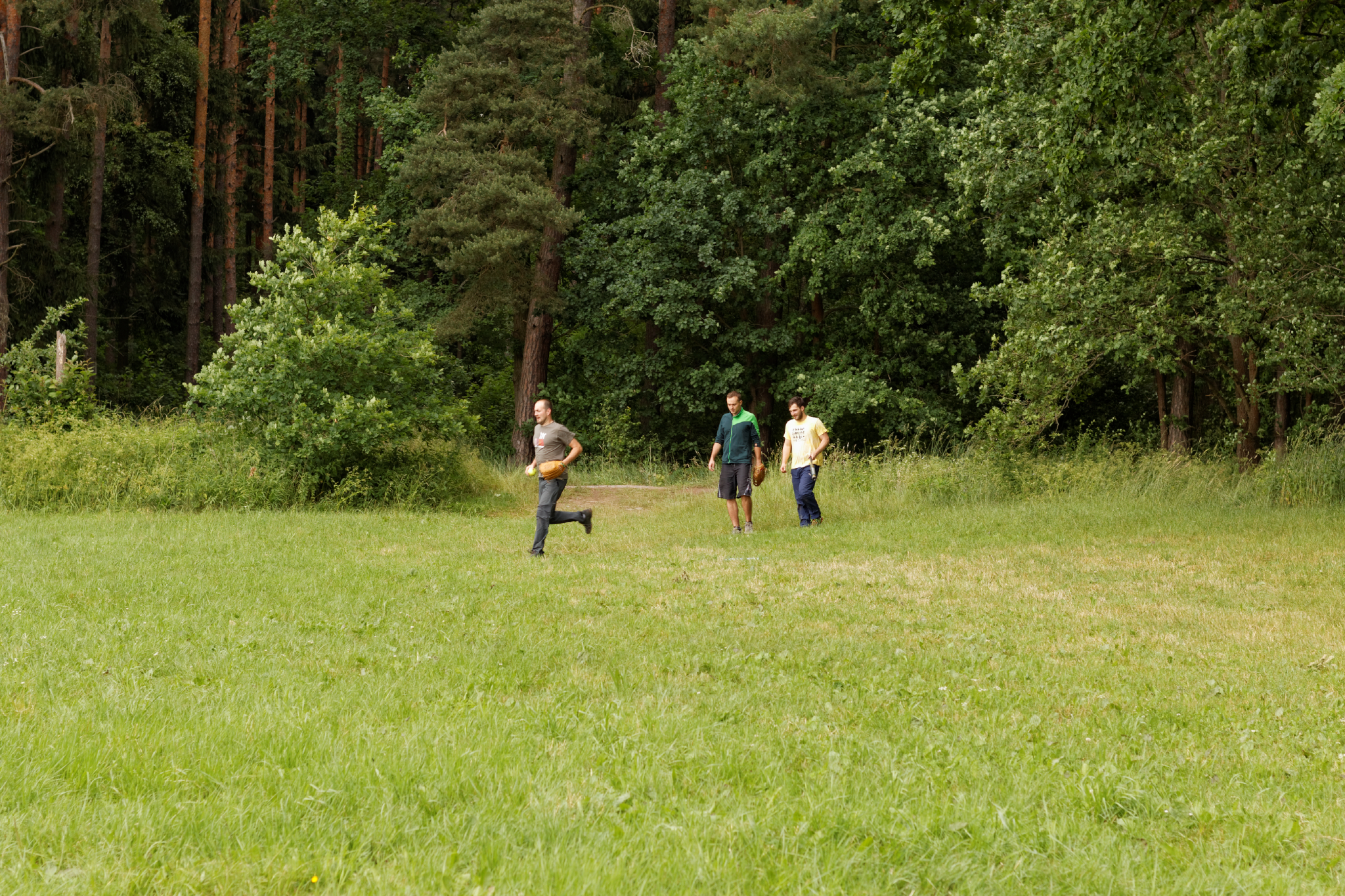 Album image copied from https://lh3.googleusercontent.com/--Mm7rf3UlOA/VYk48ty0iKI/AAAAAAACJHc/ZaytZ_ALwAwEtRzjdSRxOcVTk0tEAzp0QCLABGAYYCw/s0-U-I/IMG_4556_DxO_web.jpg