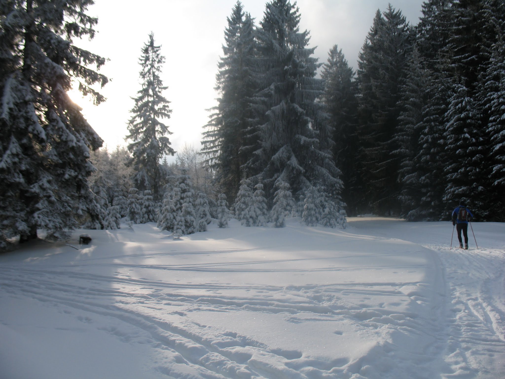 Album image copied from https://lh3.googleusercontent.com/-4TJ0gKi7VTw/Ty7Yh_t4F4I/AAAAAAAAH0Y/33HO9CwX7BYKFqDULZ6LBU0hxNaHONaGwCLABGAYYCw/s0-U-I/IMG_4855.JPG