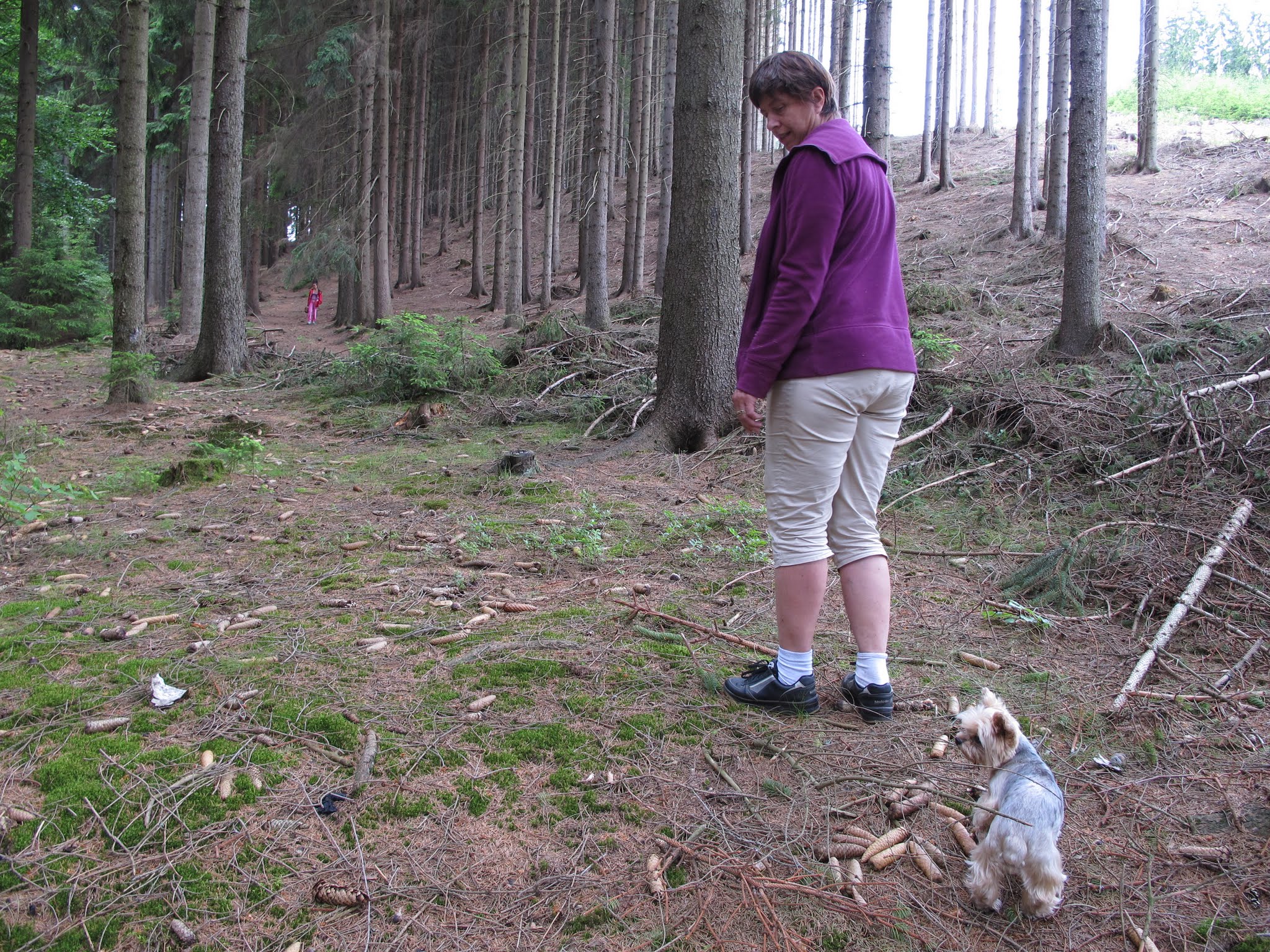 Album image copied from https://lh3.googleusercontent.com/-6WQoJIISewc/VYvJufeVDQI/AAAAAAABea4/_PLmgprRDV4/w2048-h1536/IMG_5686.JPG