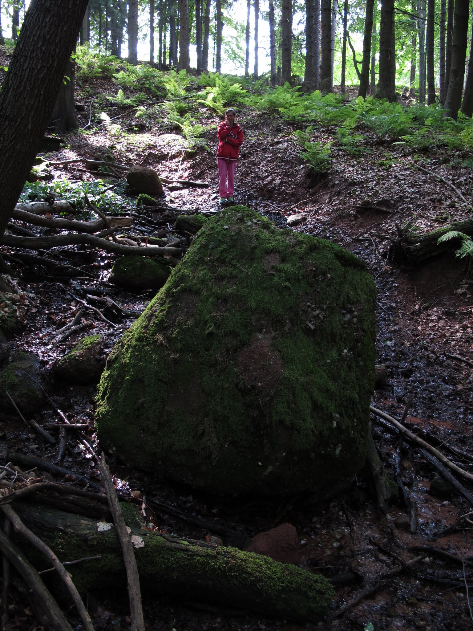 Album image copied from https://lh3.googleusercontent.com/-QoGGUTVgJMc/VYvJzN_ArzI/AAAAAAABebY/swr4XgUQ2KI/w1536-h2048/IMG_5690.JPG