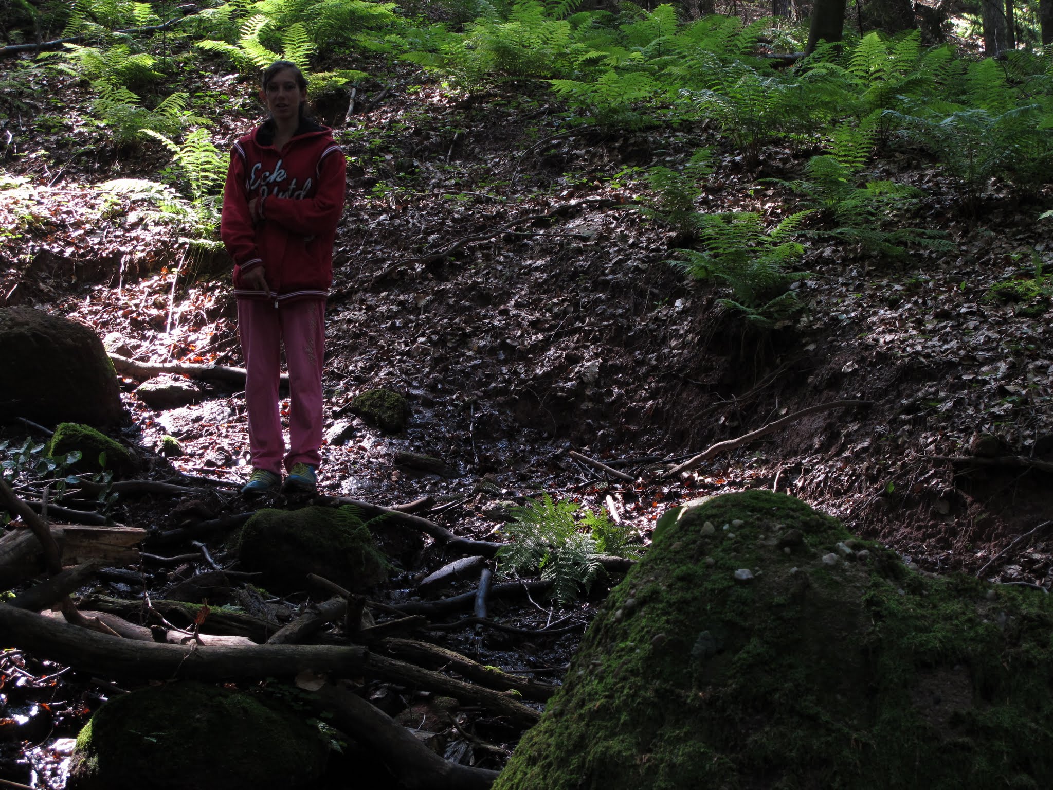 Album image copied from https://lh3.googleusercontent.com/-w0WTPG2cQa0/VYvJ0eMVlPI/AAAAAAABebg/zGR-nkkv41A/w2048-h1536/IMG_5691.JPG