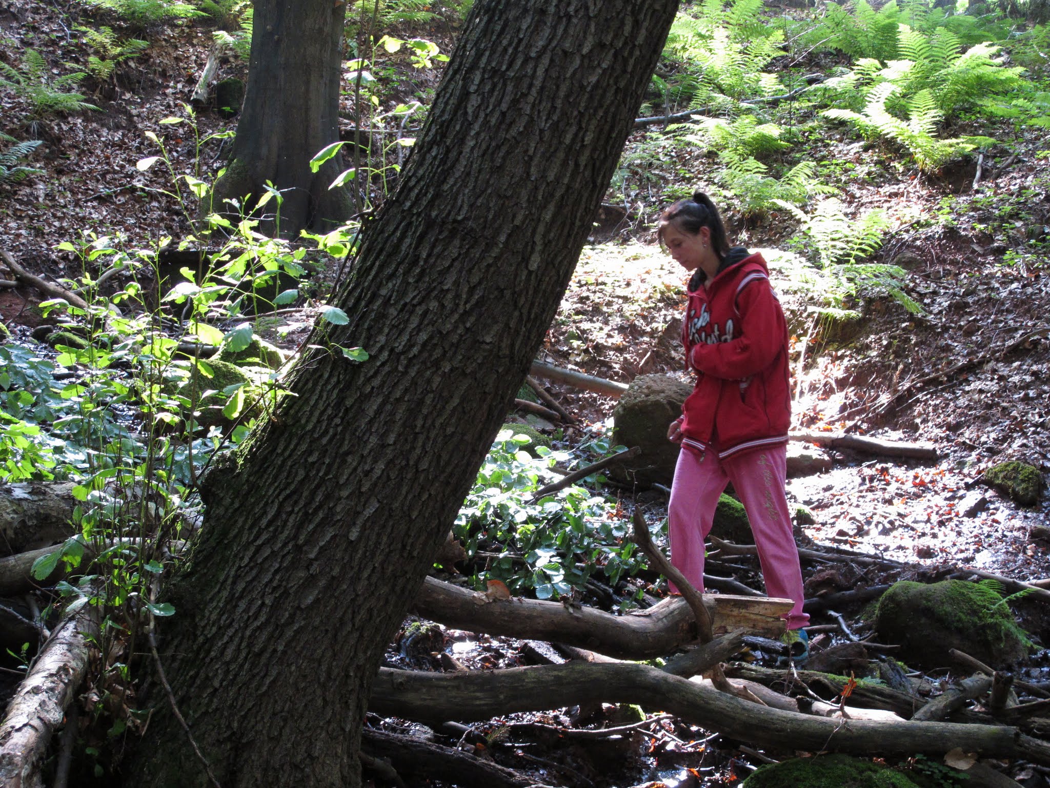 Album image copied from https://lh3.googleusercontent.com/-dwY9242abuI/VYvJ1lFtl6I/AAAAAAABebo/qyQl-hIC_ao/w2048-h1536/IMG_5692.JPG