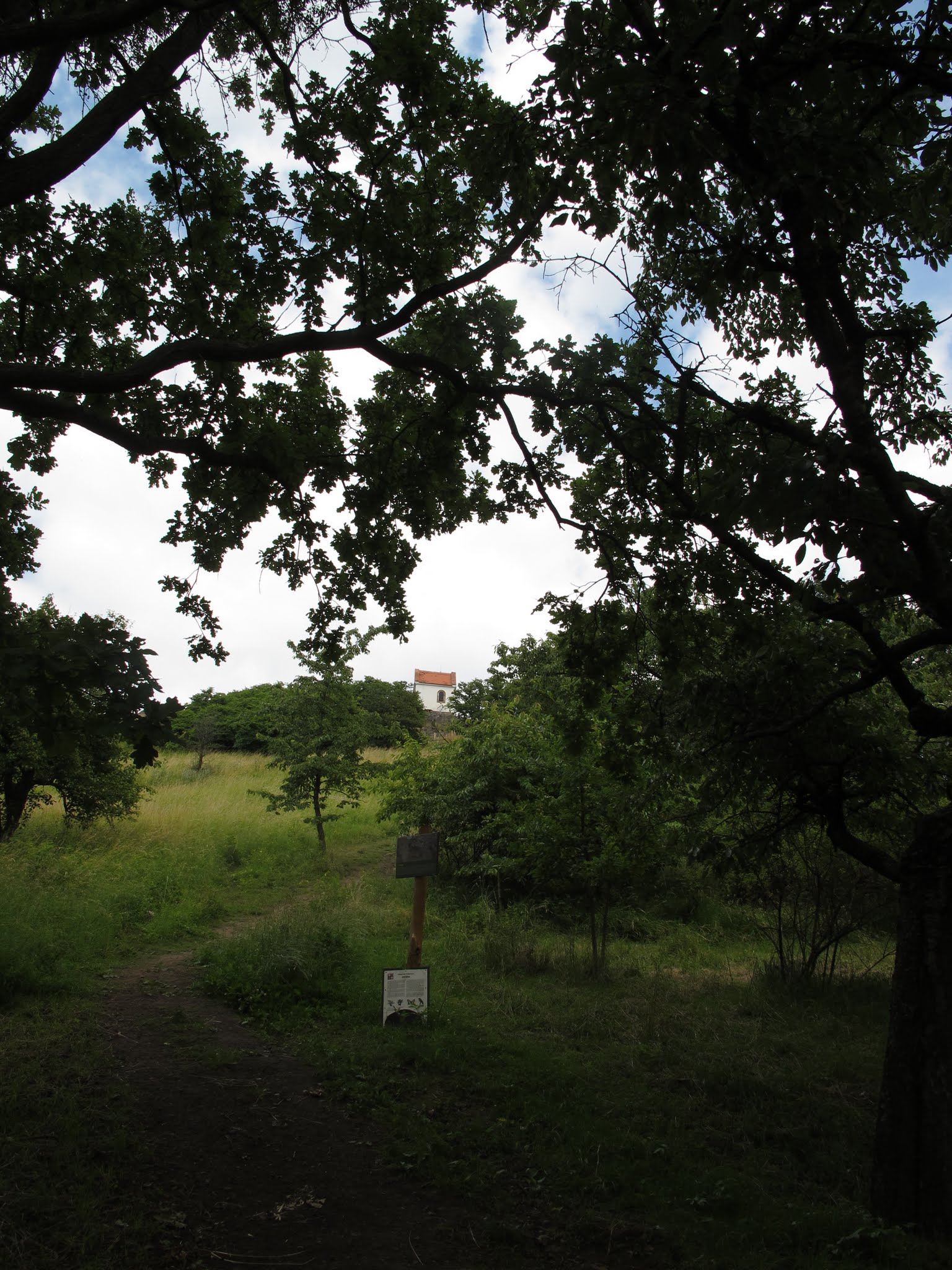 Album image copied from https://lh3.googleusercontent.com/-J7BatqXM0GI/VYvbYScOzVI/AAAAAAABfrA/6sMArrlhNpkeH9vzTgV9JsXNoVNu2zVvACLABGAYYCw/s0-U-I/IMG_5762.JPG