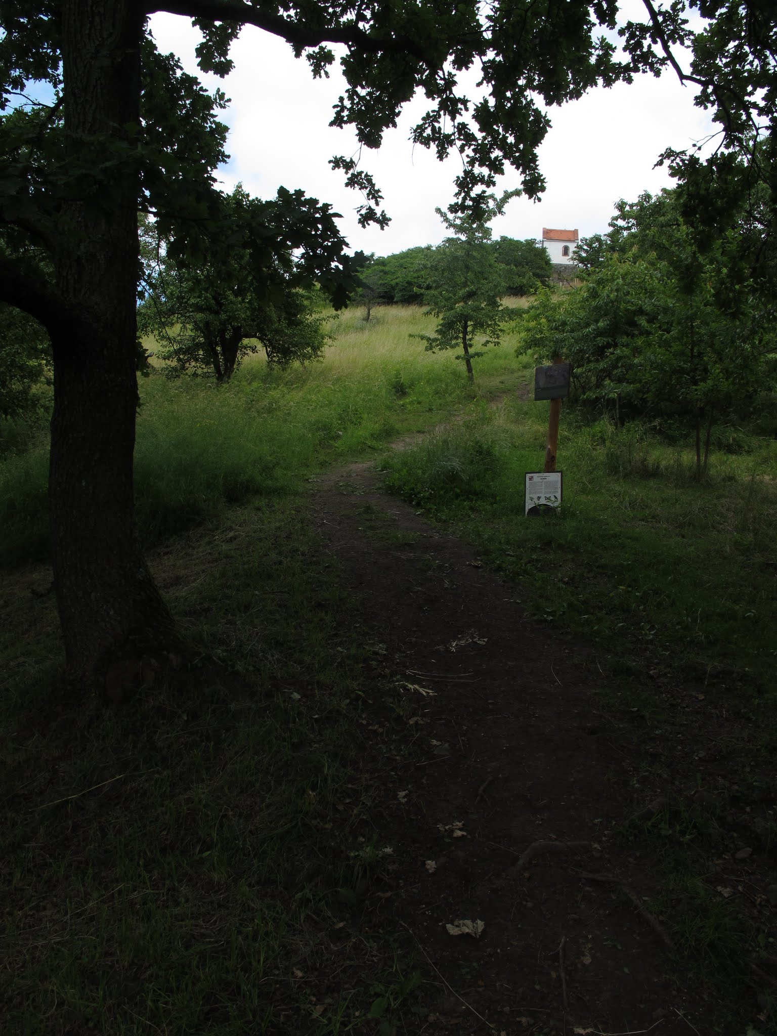 Album image copied from https://lh3.googleusercontent.com/-DobTBIM33tM/VYvbZNgIHsI/AAAAAAABfrI/_Dp4F3xDXQQoqSuYFyqFHevU06bv6gP2ACLABGAYYCw/s0-U-I/IMG_5763.JPG